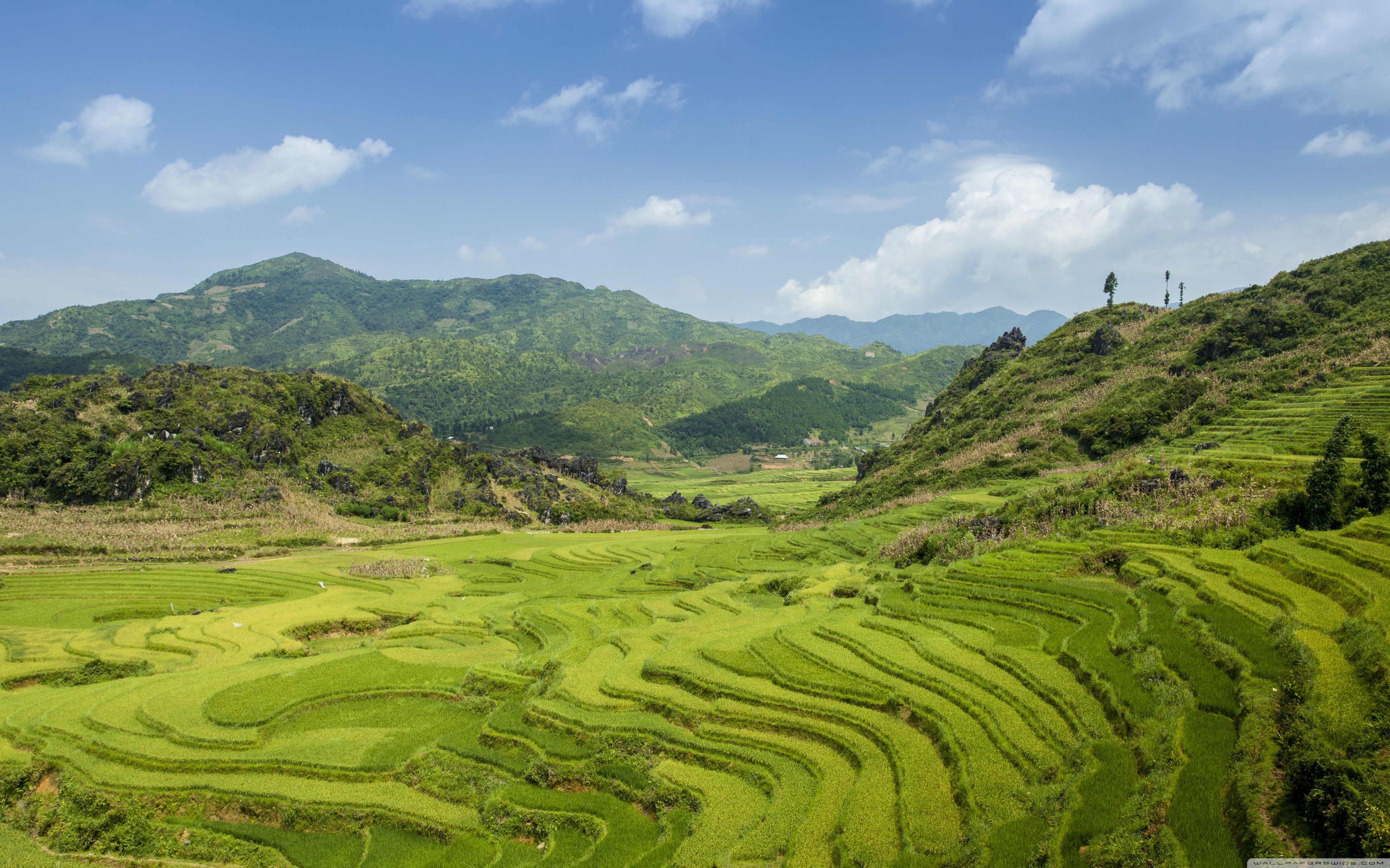 3840x2400 Terraced fields in SaPa 4K UHD Wallpaper for UltraHD Desktop and TV : Widescreen and UltraWide Display : Dual Monitor : Smartphone and Tablet Devices