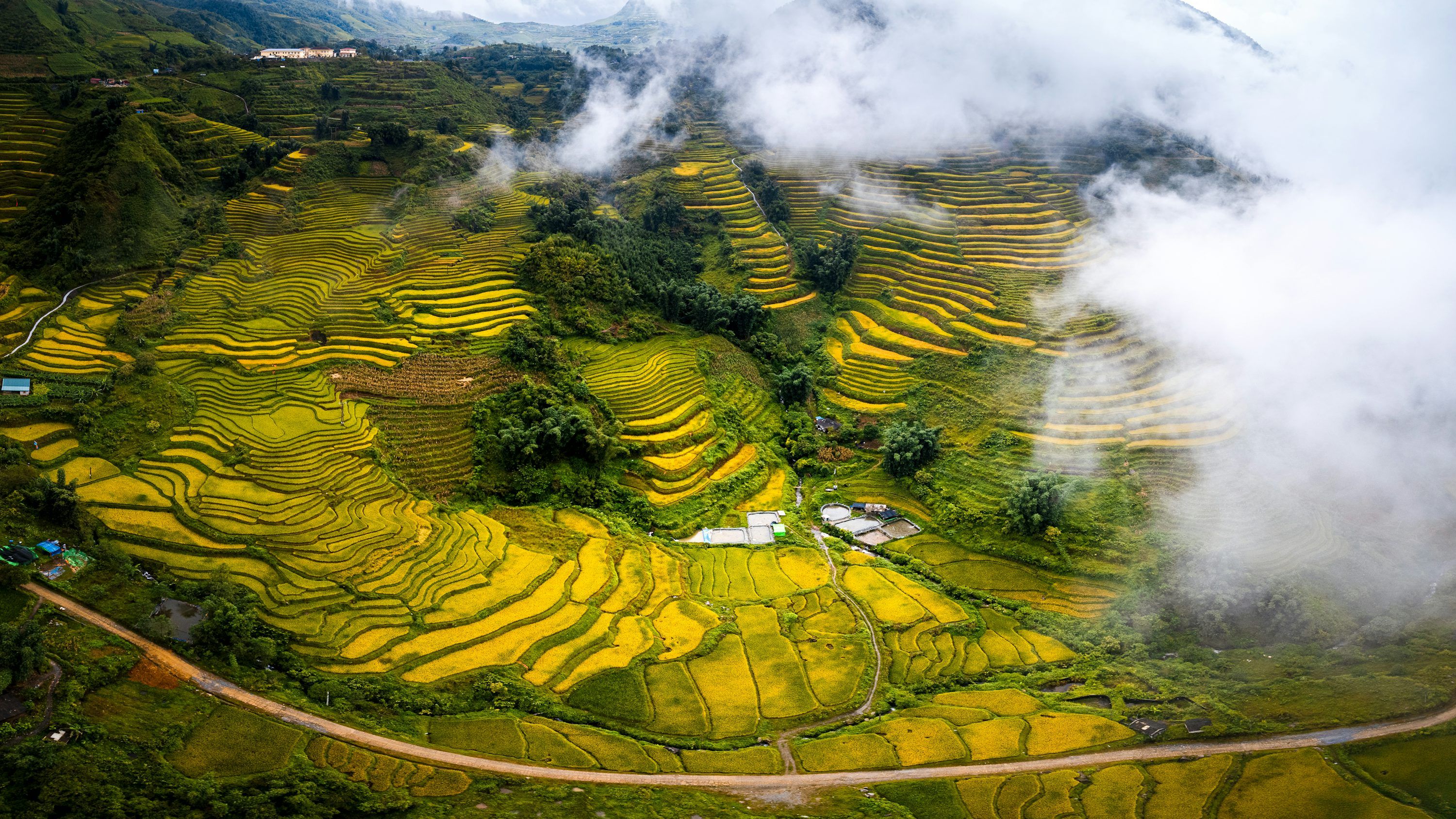 3000x1688 Terraced Fields Picture. Download Free Image