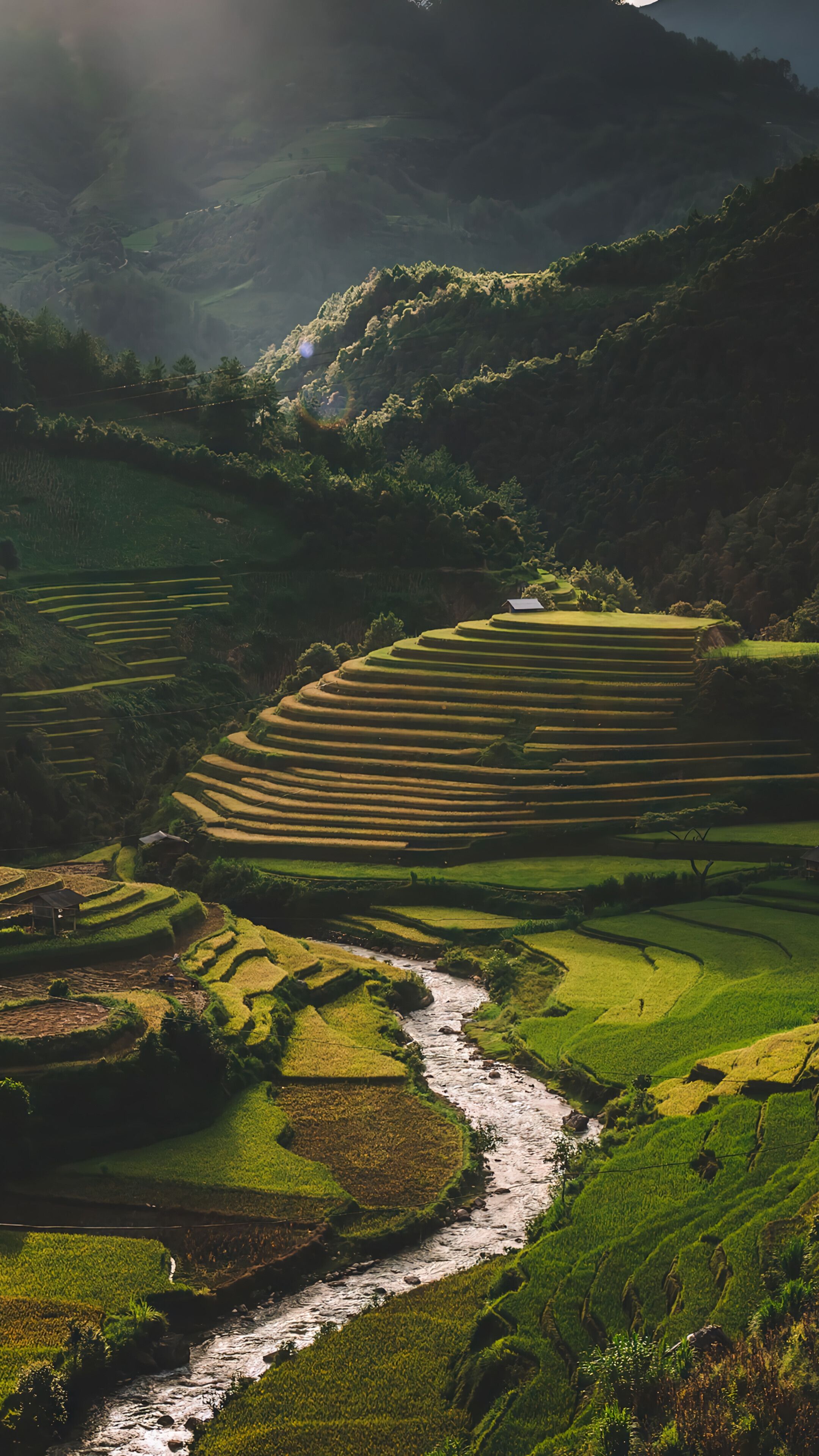 2160x3840 Terraced Field Mountain Scenery 4K Wallpaper iPhone HD Phone h