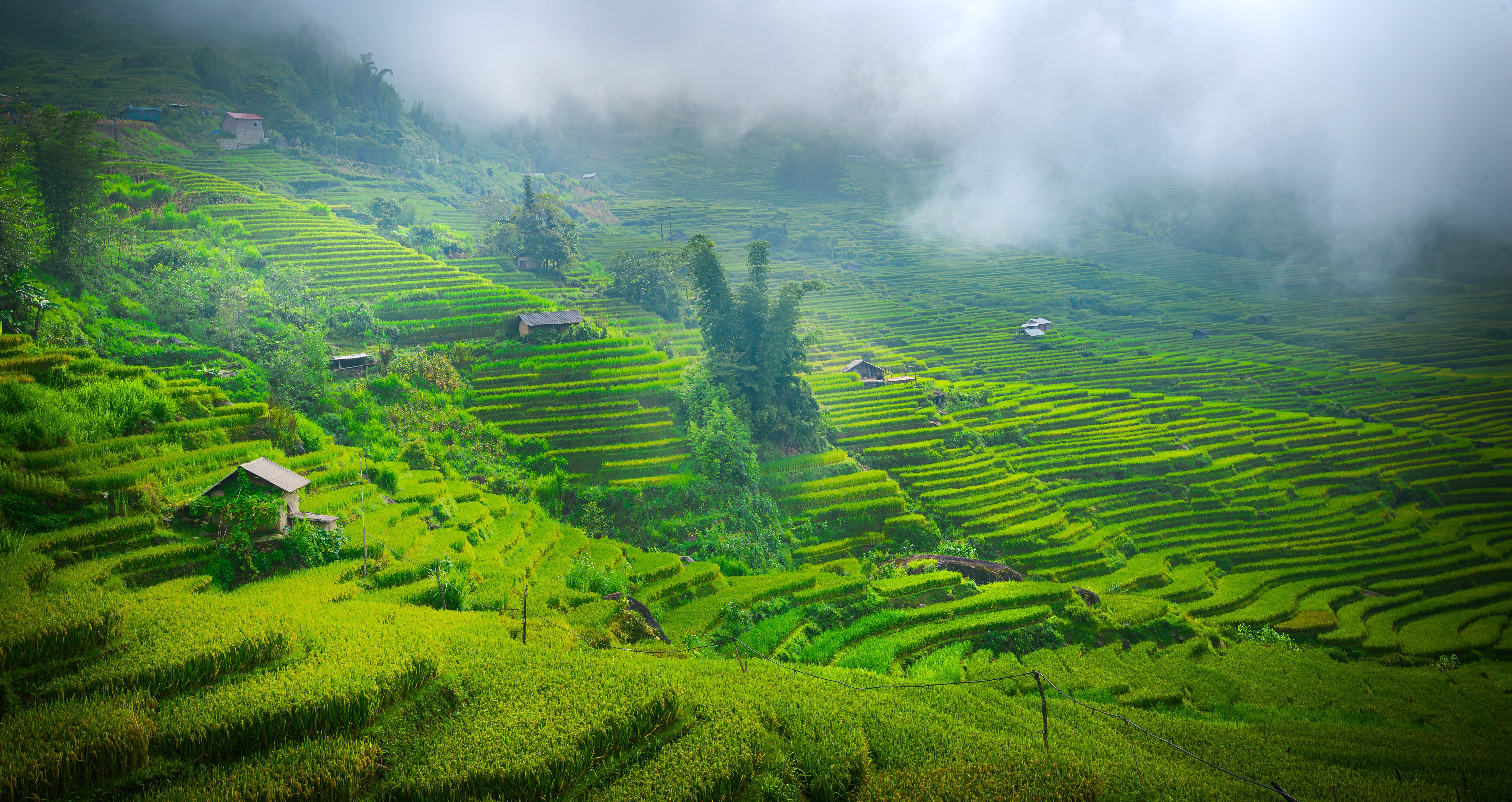 7360x3906 Beautiful Terraced Rice Fields in Vietnam · Free