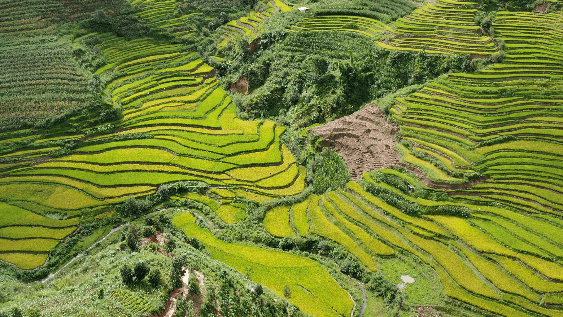 1920x1080 Terraced fields sculpted by Hani people in SW China
