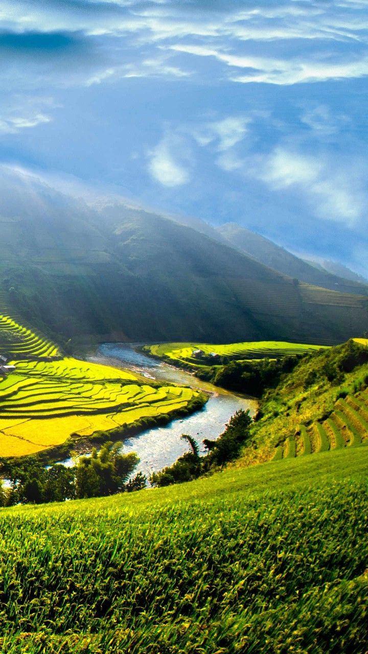 720x1280 Contouring Fields Wallpaper. Rice field wallpaper 4k, Rice field and river wallpaper, Vietnam rice field wallpaper