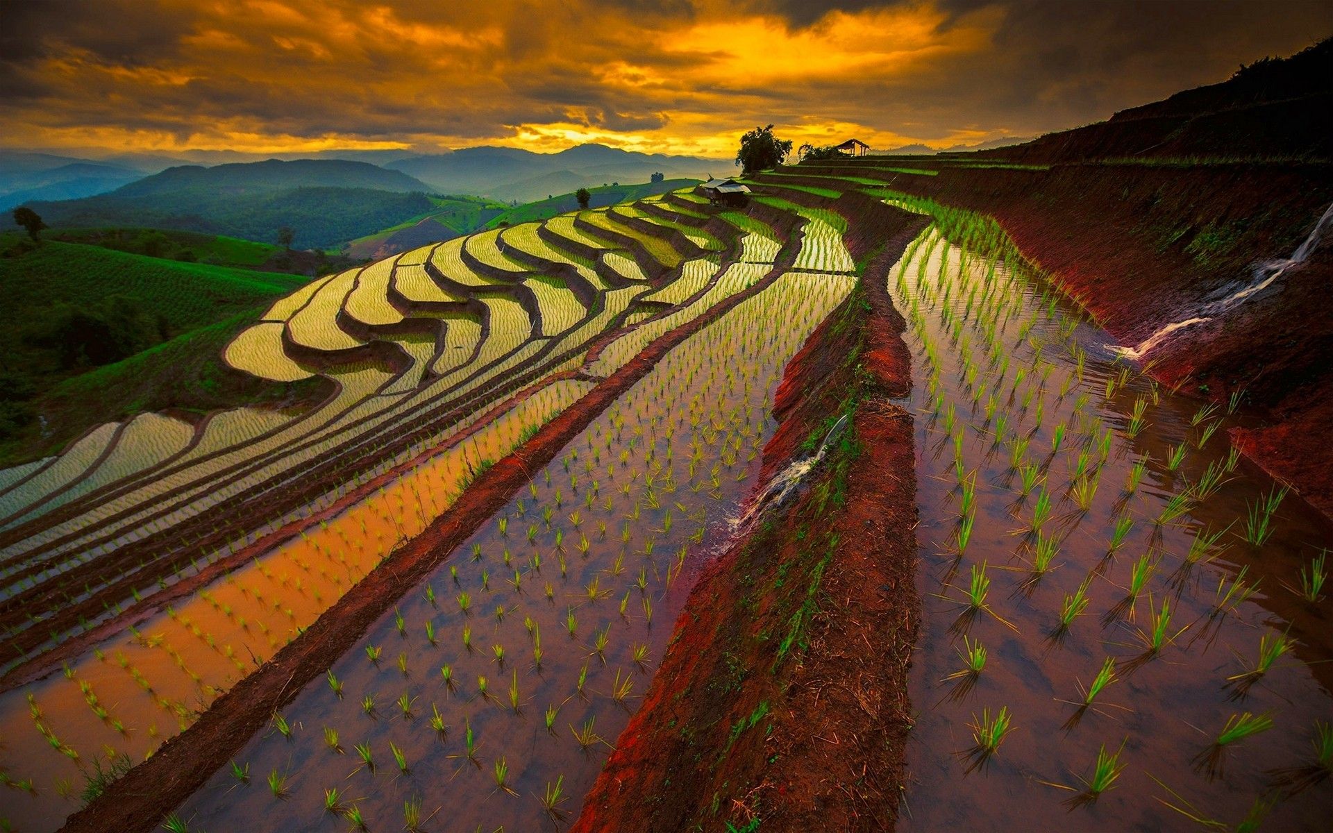 1920x1200 Phone wallpaper: Sunset, Thailand, Rice Terrace, Man Made, Earth, Field, Mountain 823794