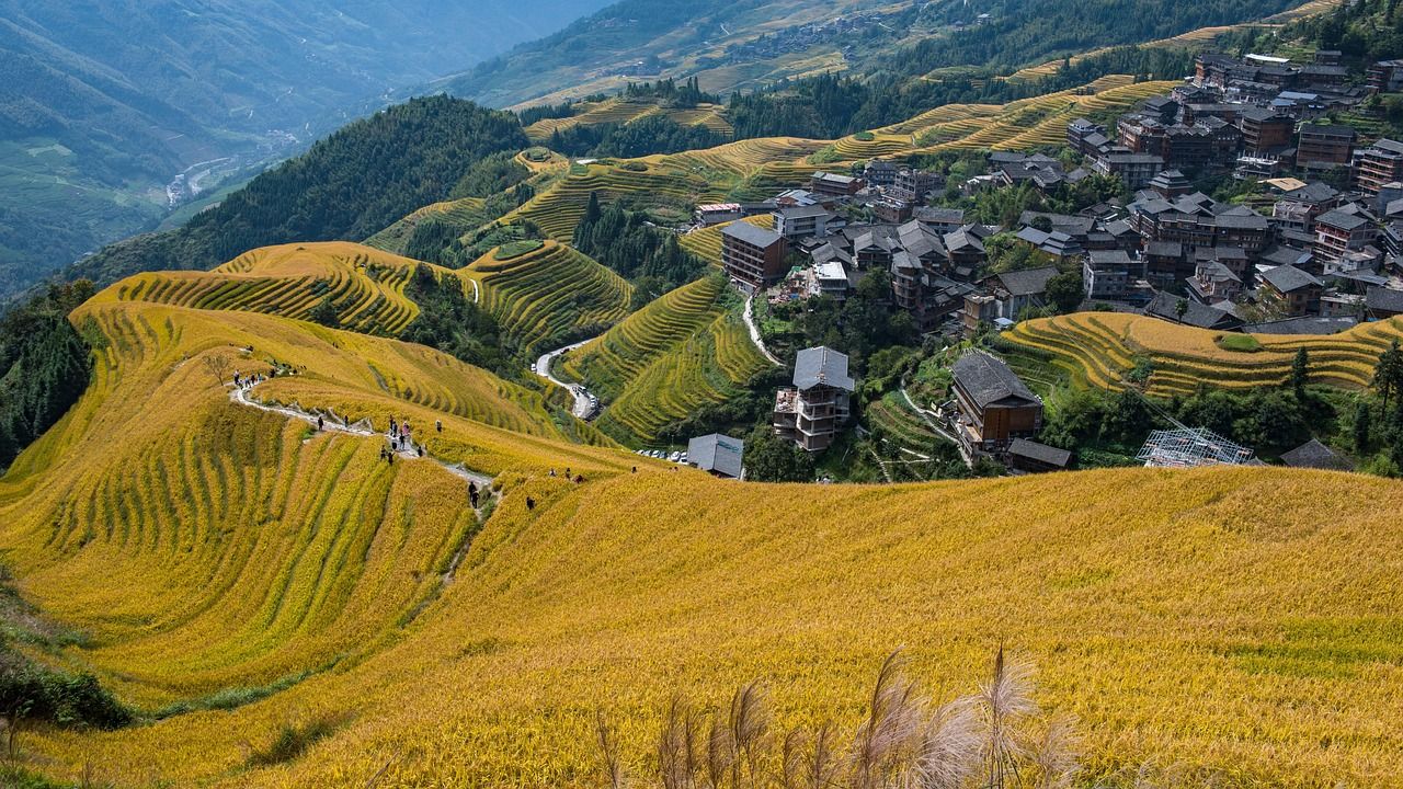1280x720 Terraced Fields Longji Rice