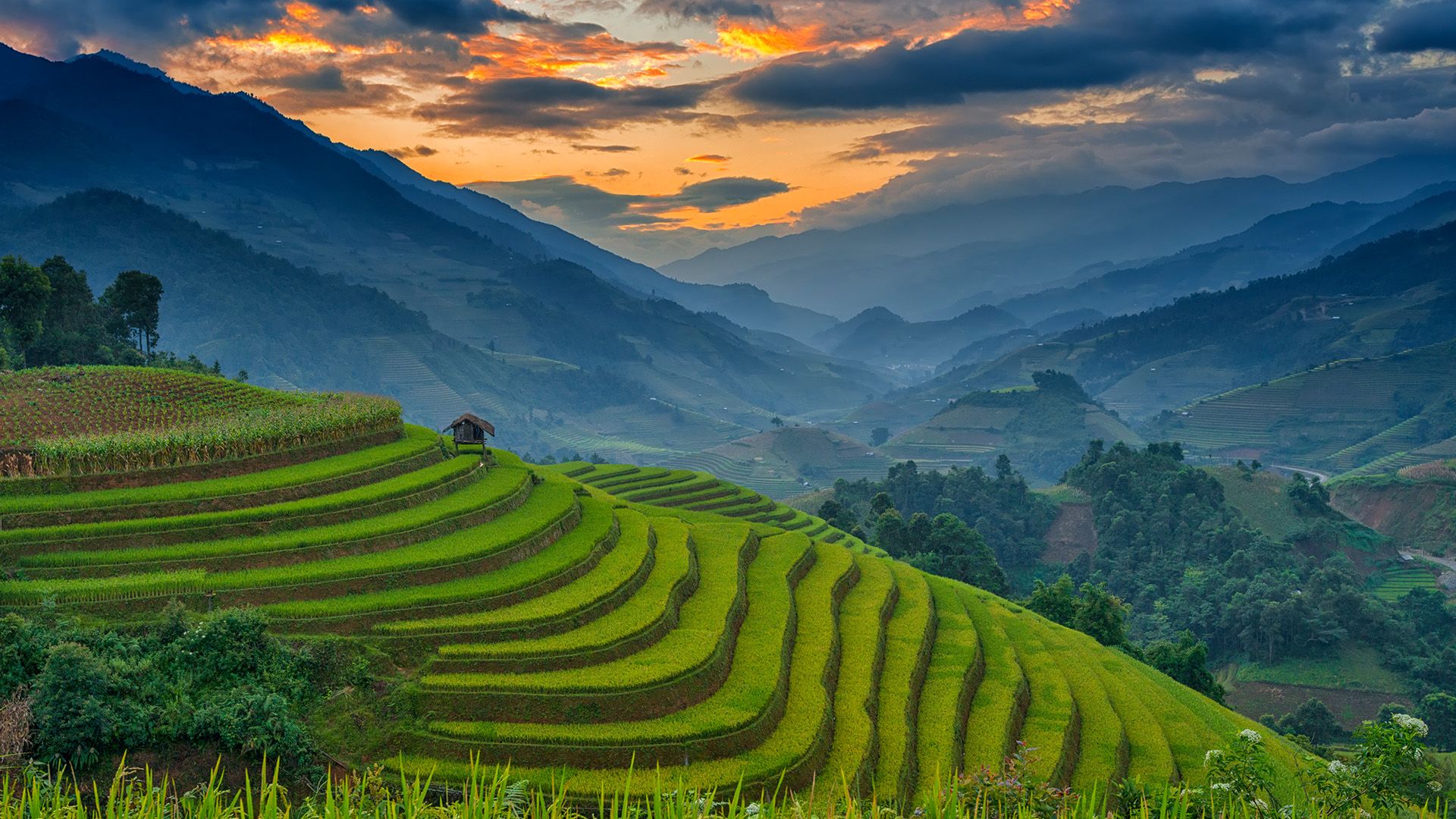 1920x1080 Amazing rice terraces at Mu Cang Chai, Vietnam. Windows Spotlight Image
