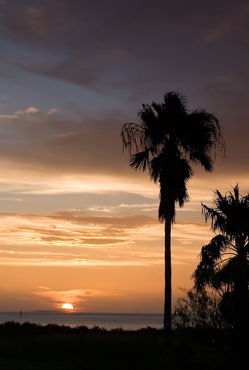 800x1186 South Padre Island, beach, landscape, sun, HD phone wallpaper