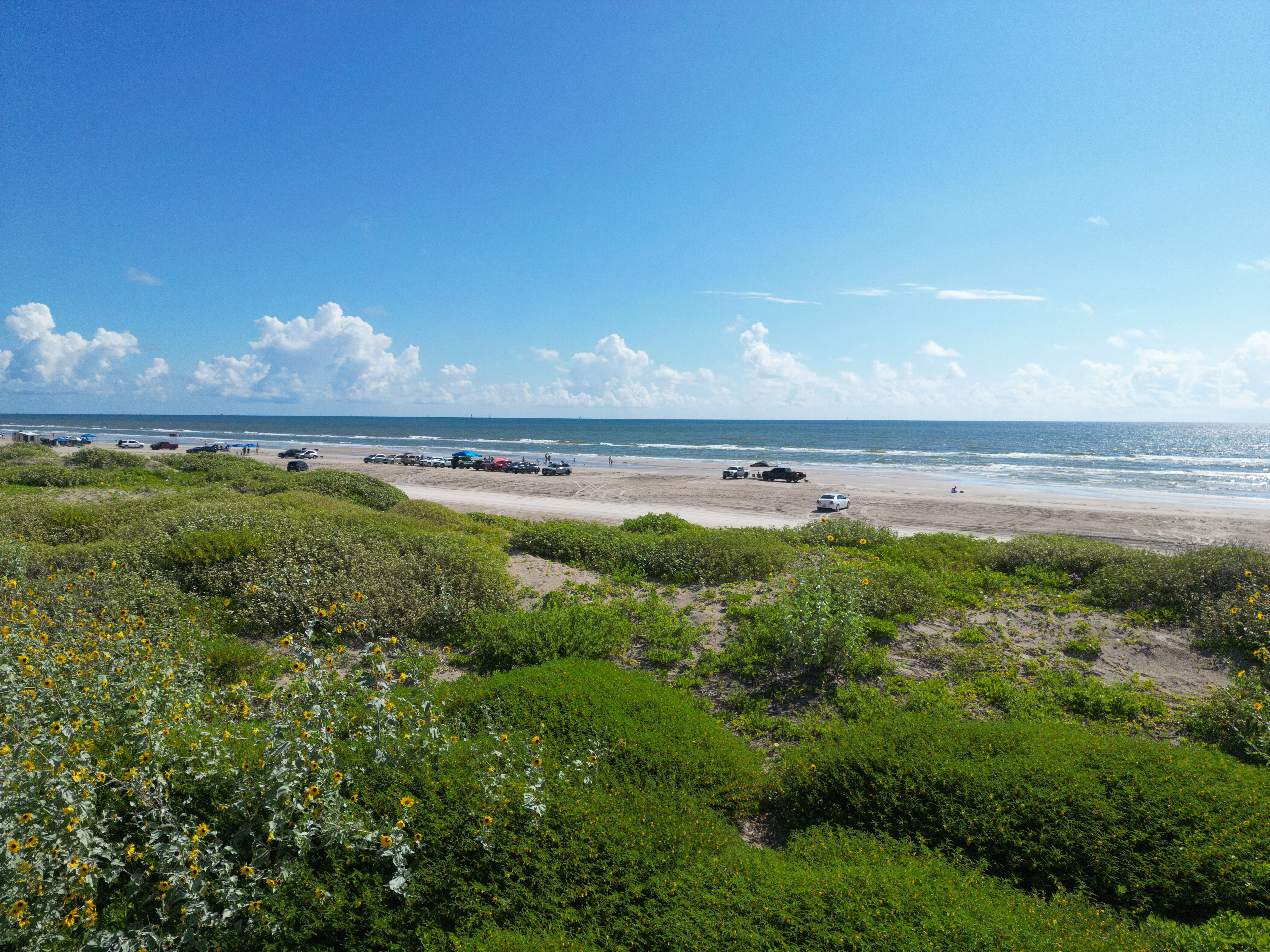 8064x6048 Aerial View of North Padre Island Beach, Texas · Free