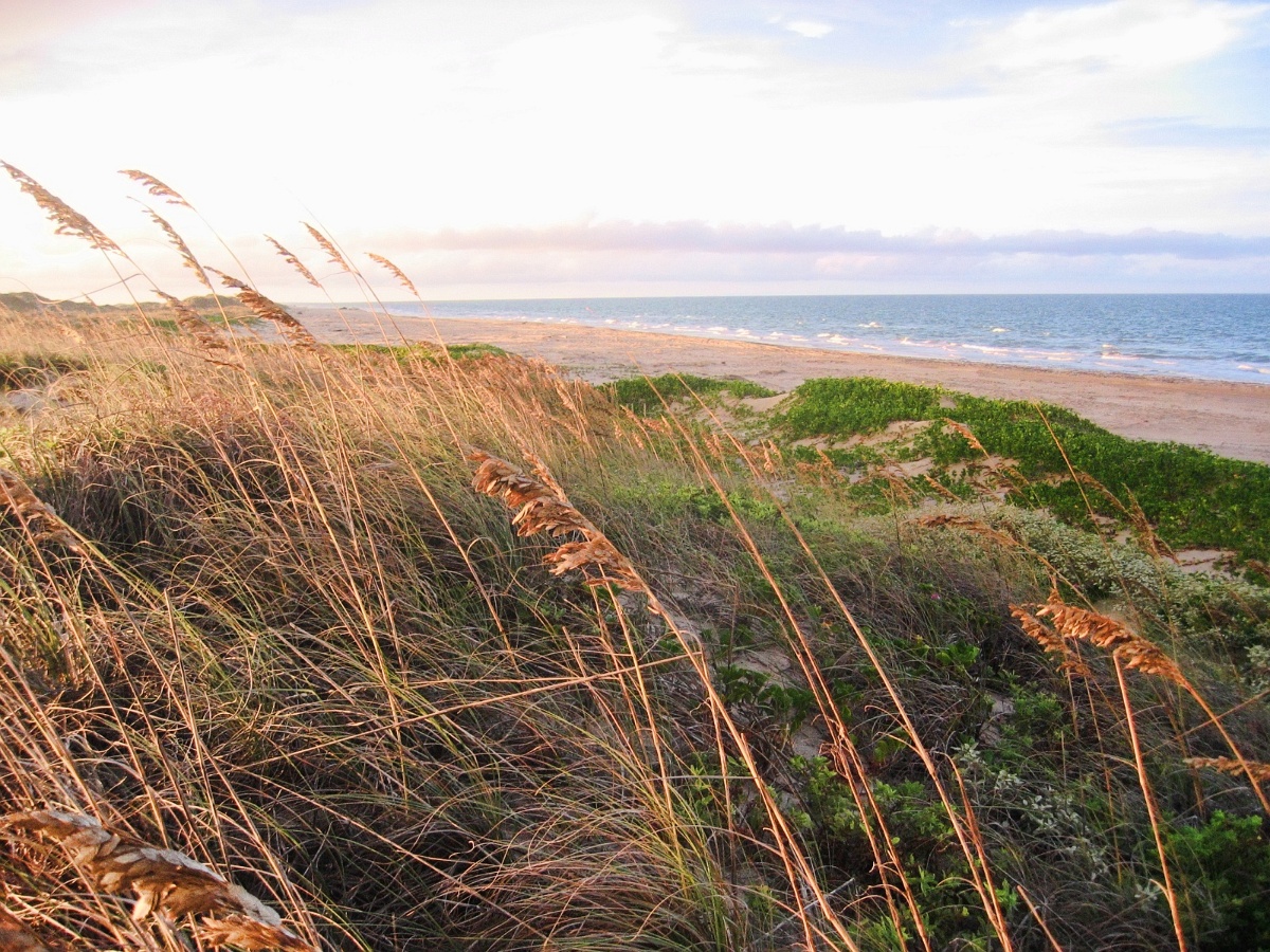 1200x900 North Padre Island and PINS