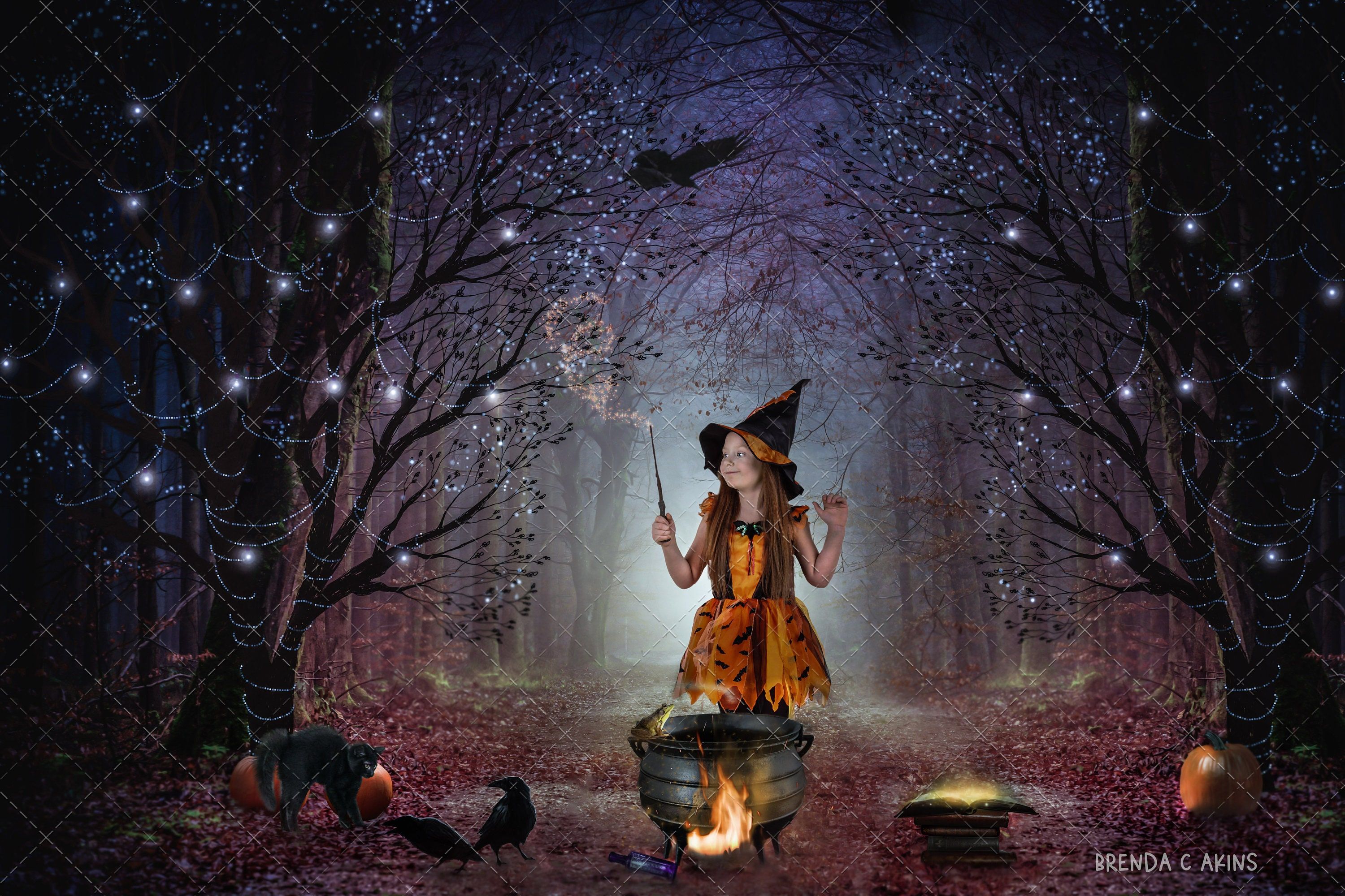 3000x2000 Witch in the Forrest Halloween Digital Backdrop (11x14) (digital Download)