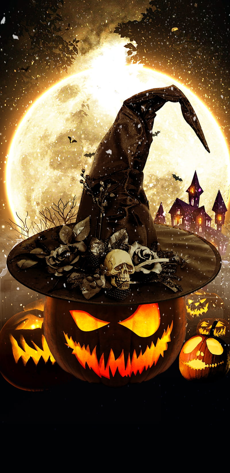 800x1644 HD halloween witch halloween wallpaper