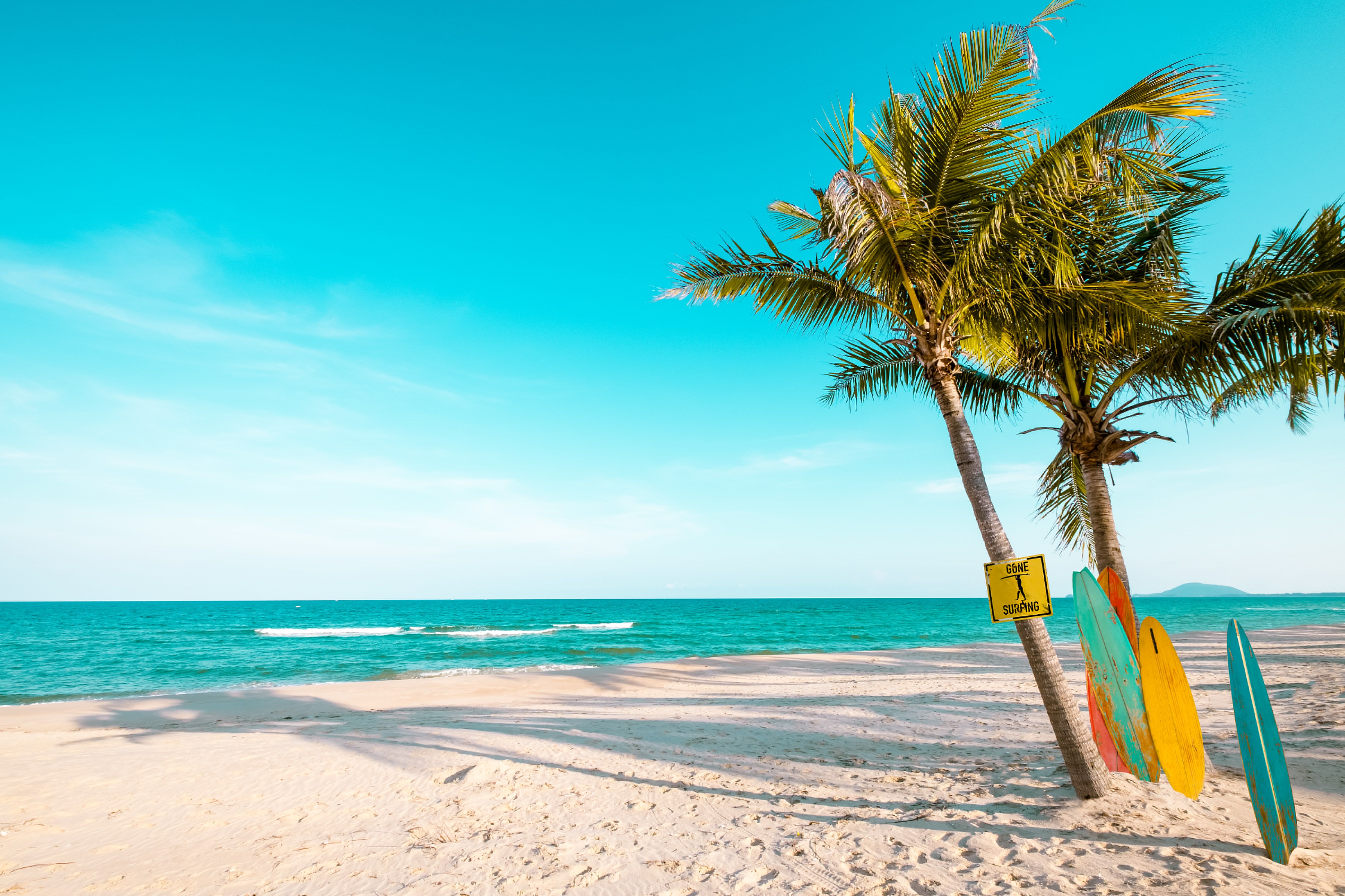 6000x4000 Wallpaper sand, sea, wave, beach, summer, the sky, traces, palm trees for mobile and desktop, section природа, resolution 6000x4000
