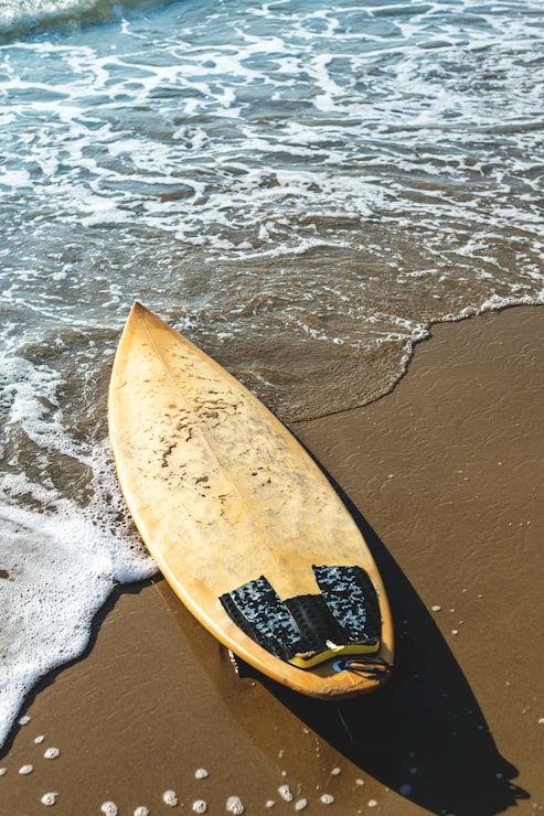 493x740 Surf beach Image