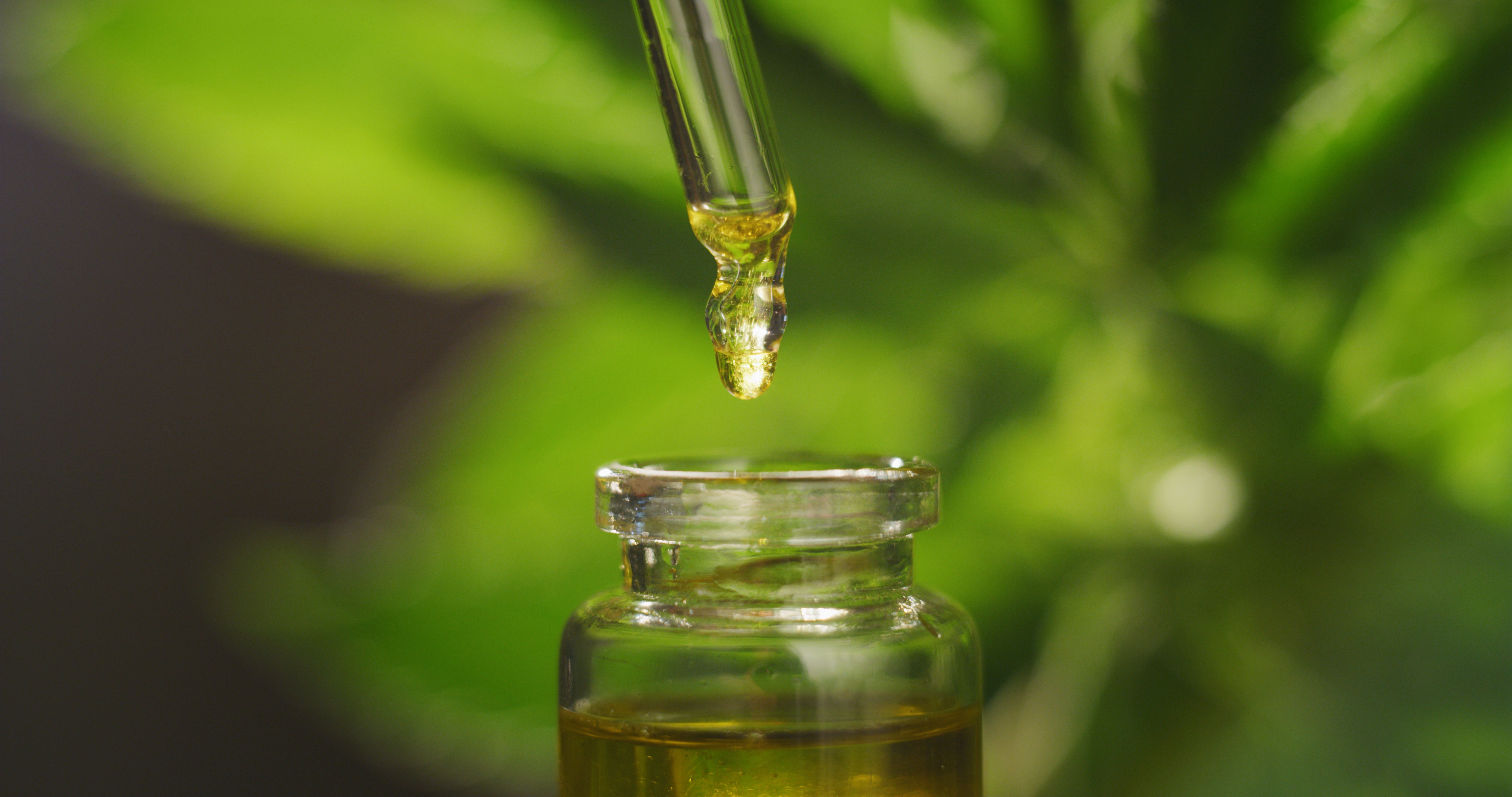 8192x4320 New Study Links Cannabidiol's Multitudinous Effects to Disruption of Cholesterol Homeostasis. Cannabis Science and Technology Industry News, Insights
