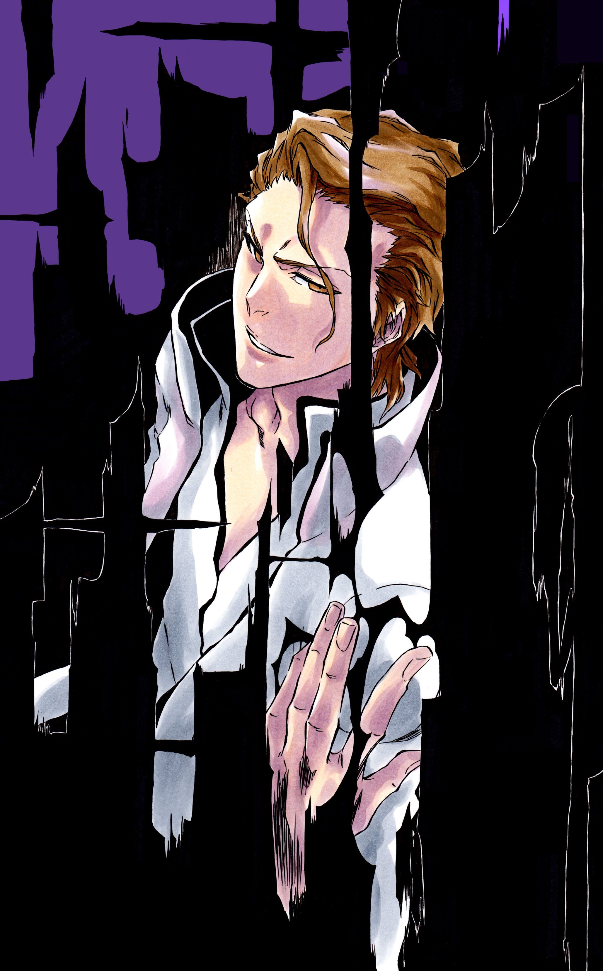 2058x3310 Kurohitsugi) Aizen