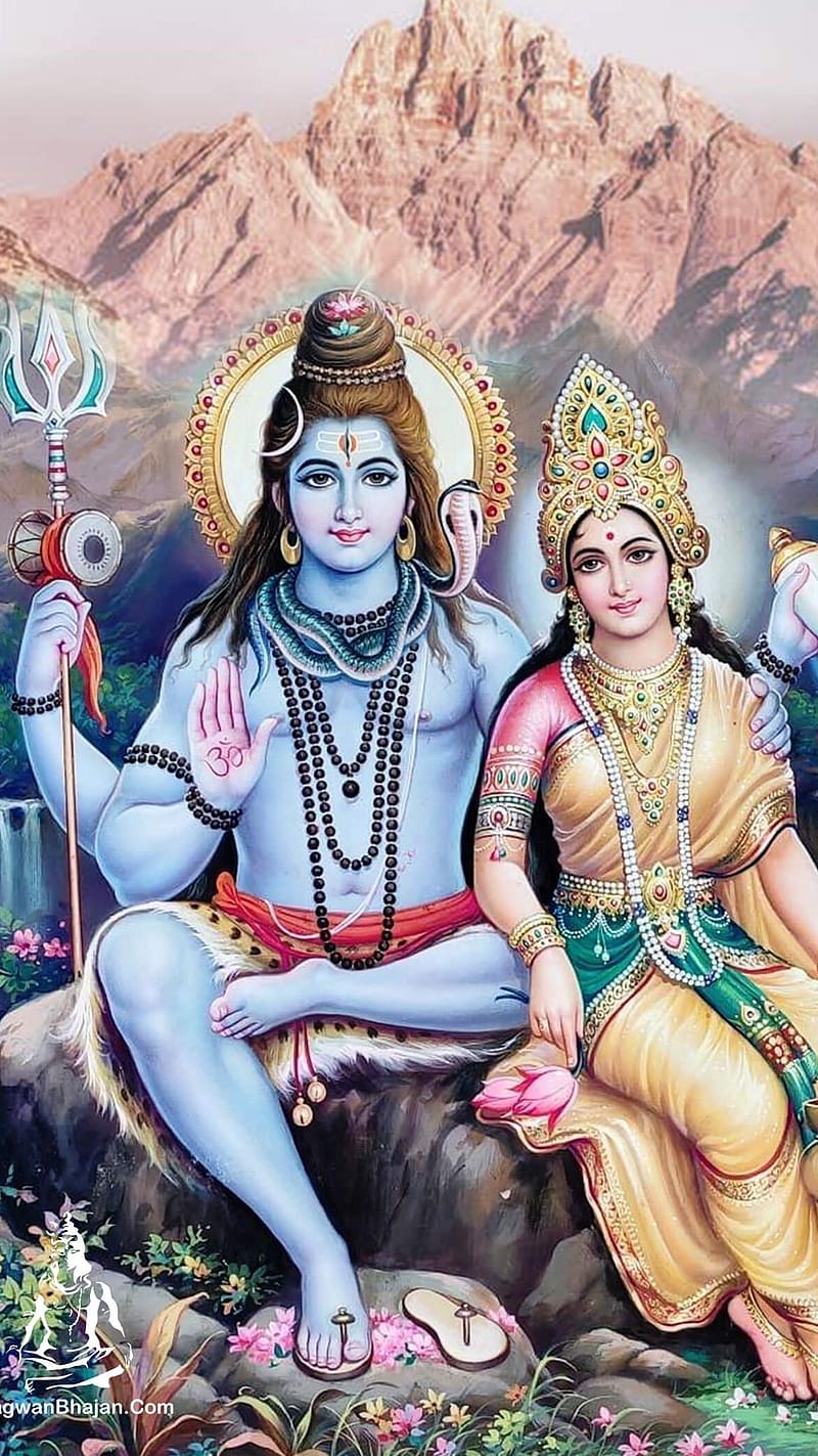 800x1423 Shiv Shankar Ji Ke, Mahadev And Parvati Maa, lord shiva, god, HD phone wallpaper