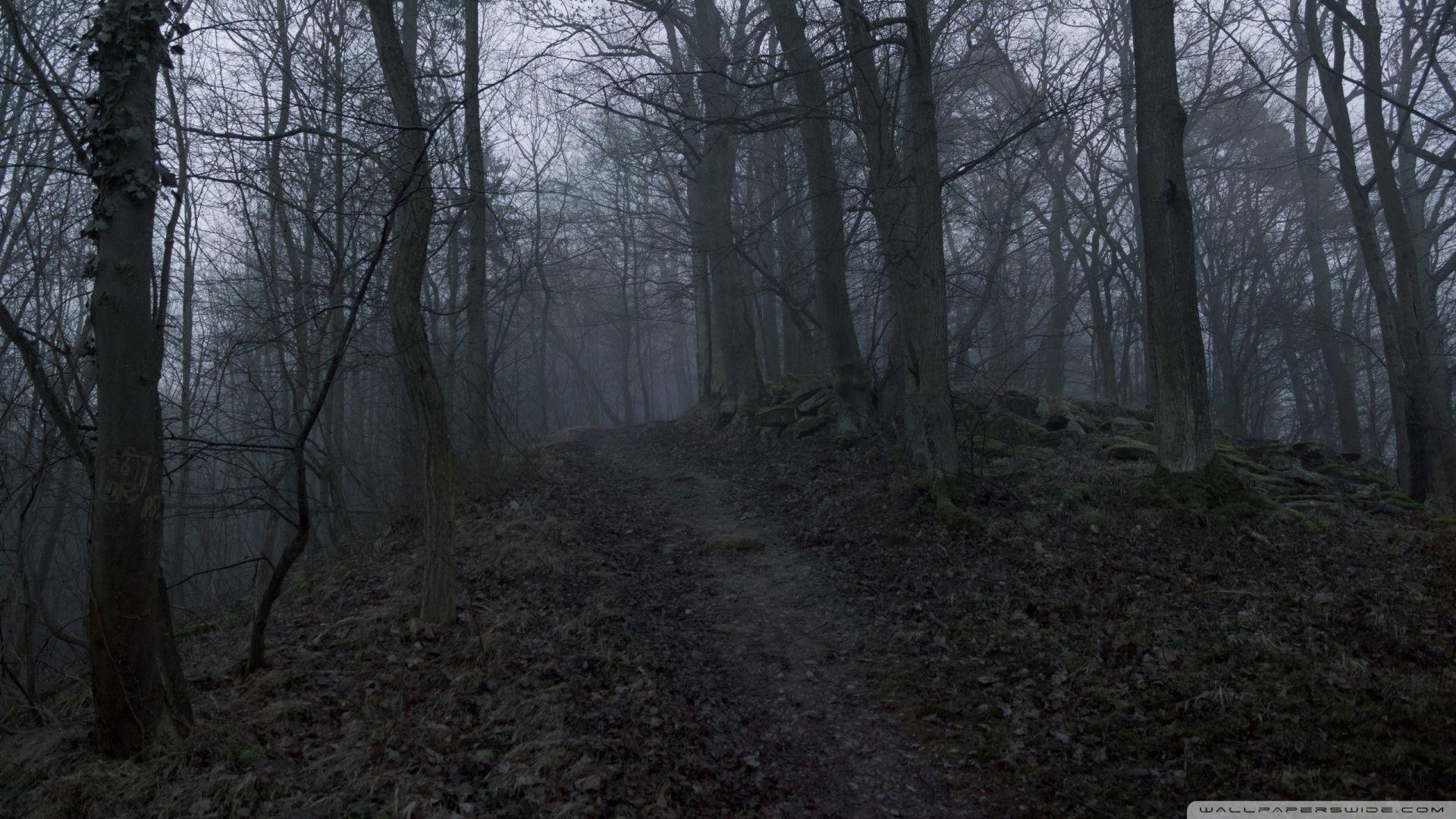 1920x1080 Dark Forest Wallpaper