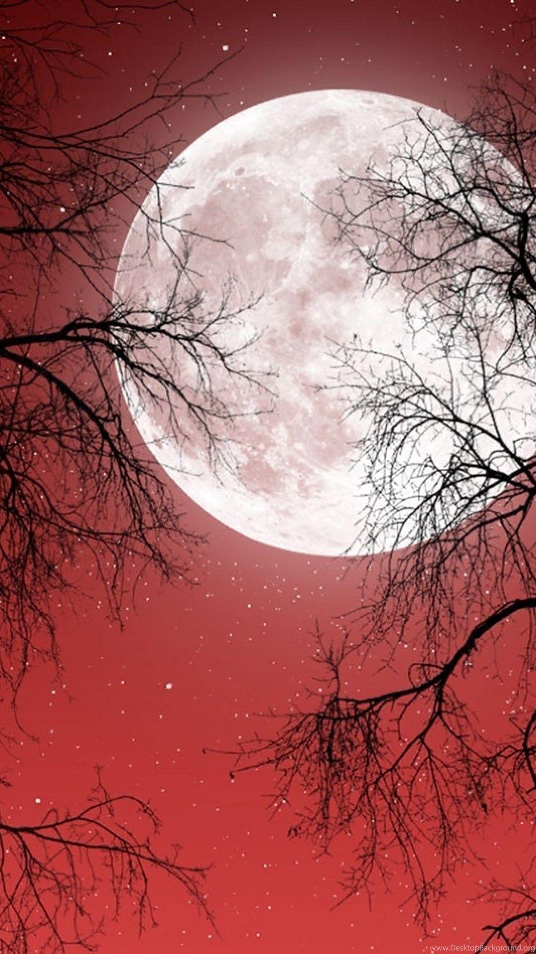 1080x1920 Full Moon Red Sky Dark Trees Galaxy S4 Wallpaper