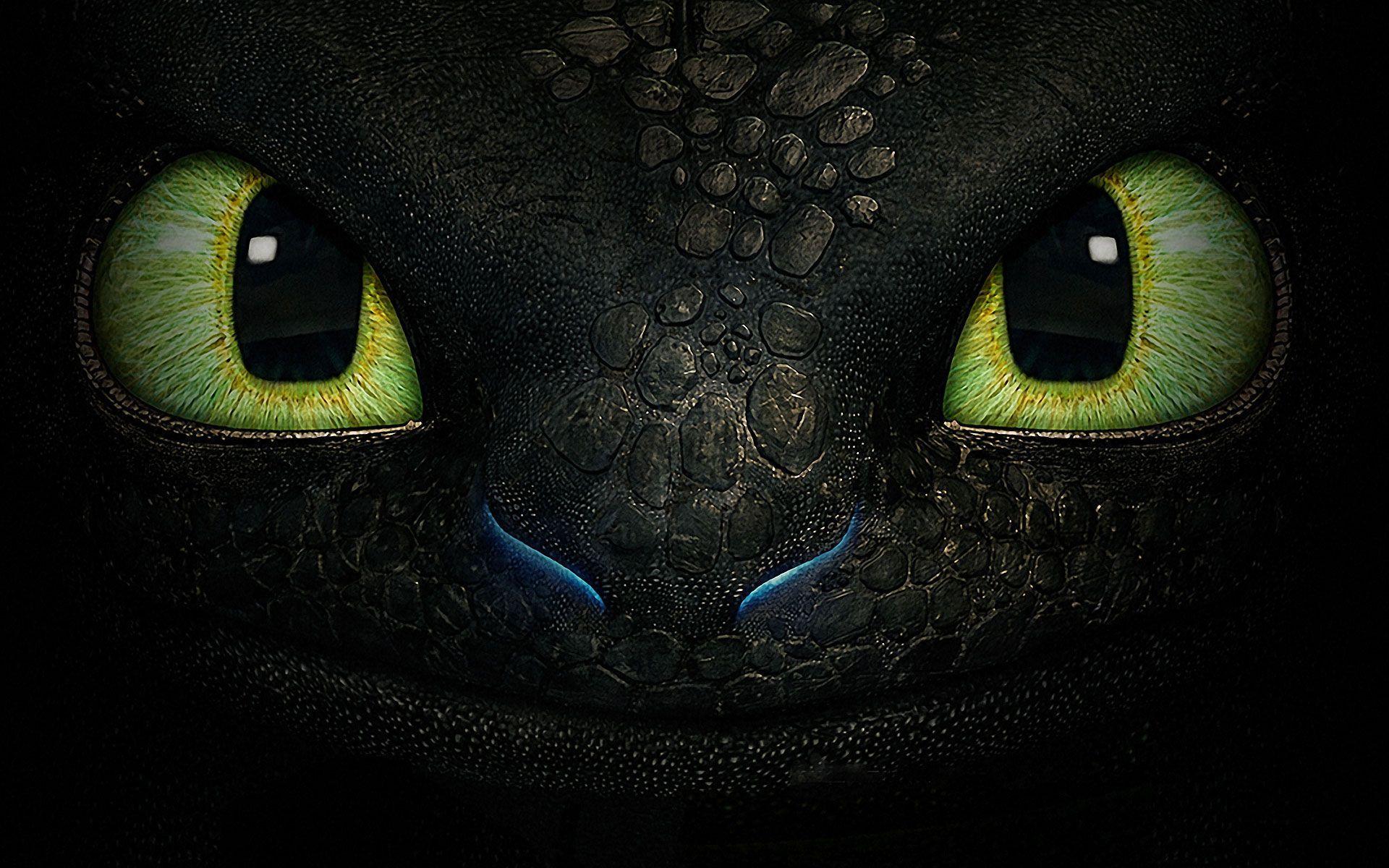 How to Train Your Dragon Toothless Wallpapers - Top Free How to Train Your  Dragon Toothless Backgrounds - WallpaperAccess