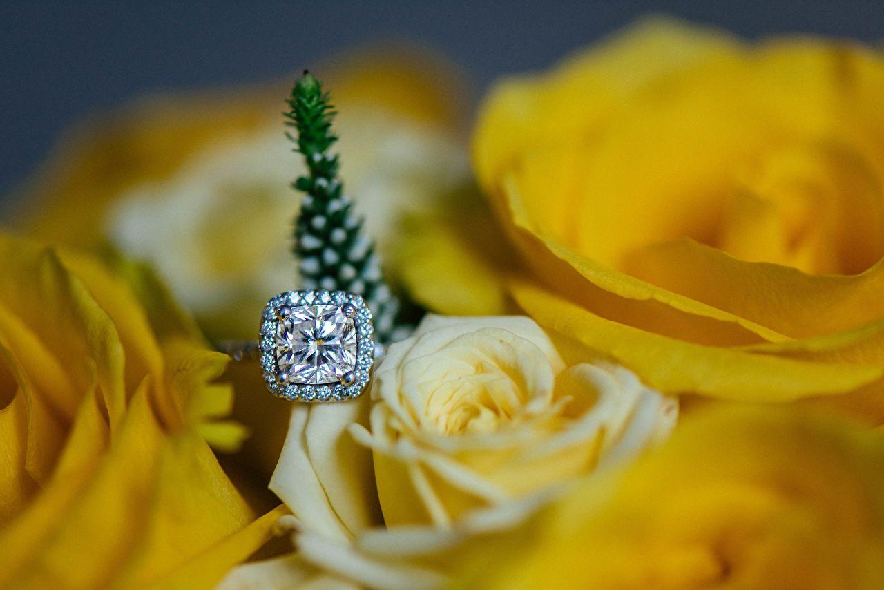 1280x854 Desktop Wallpaper Brilliant rose Yellow flower jewelry ring Closeup