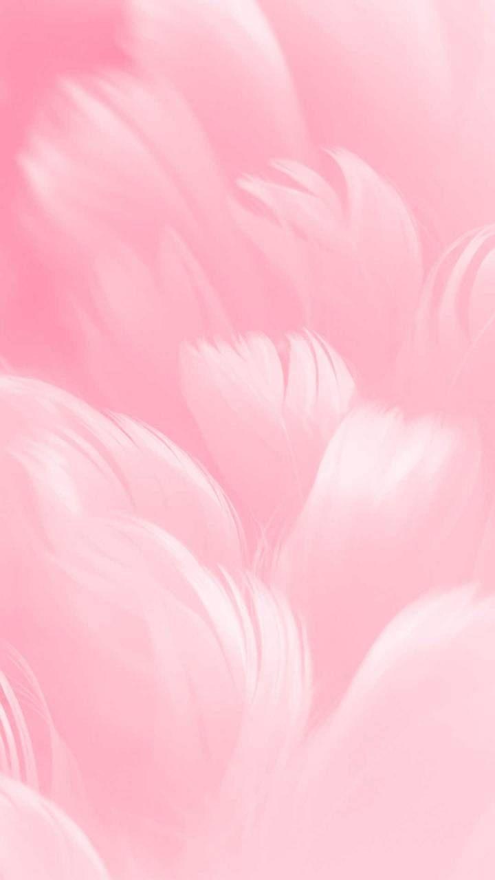 720x1280 Pink feathers wallpaper