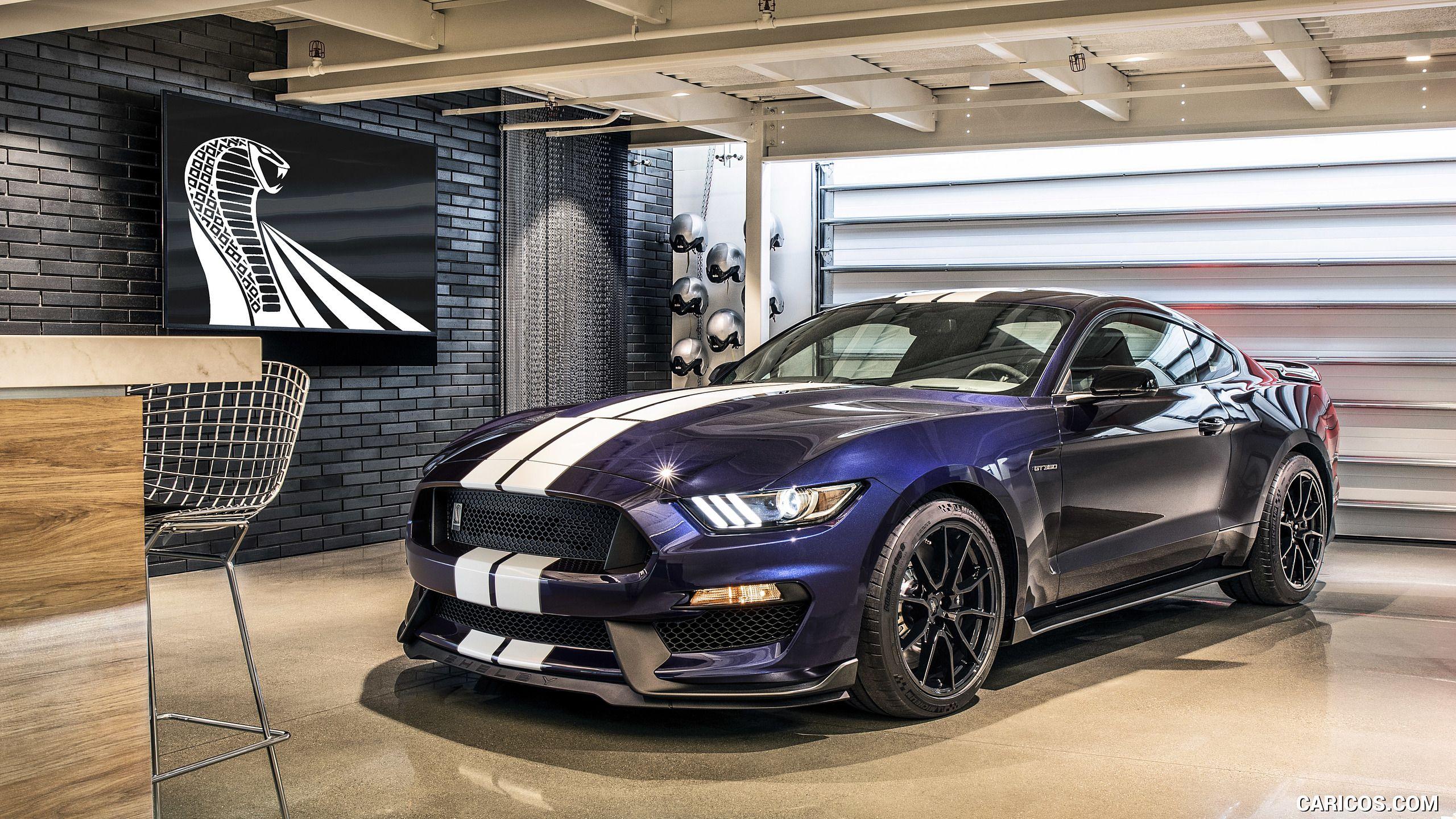 2560x1440 Ford Mustang Shelby GT350 Wallpaper