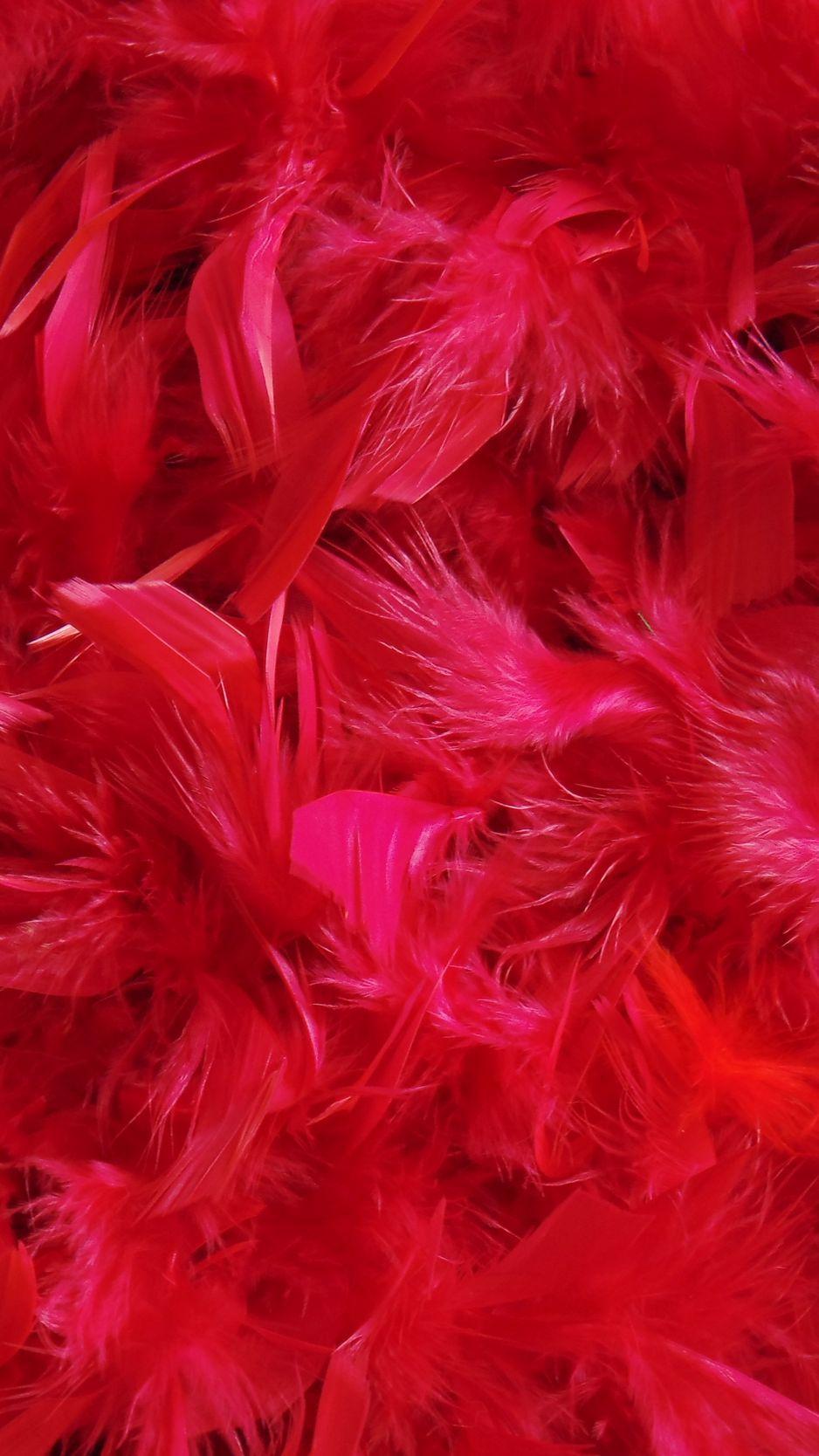 Pink Feathers Wallpapers - Top Free Pink Feathers Backgrounds