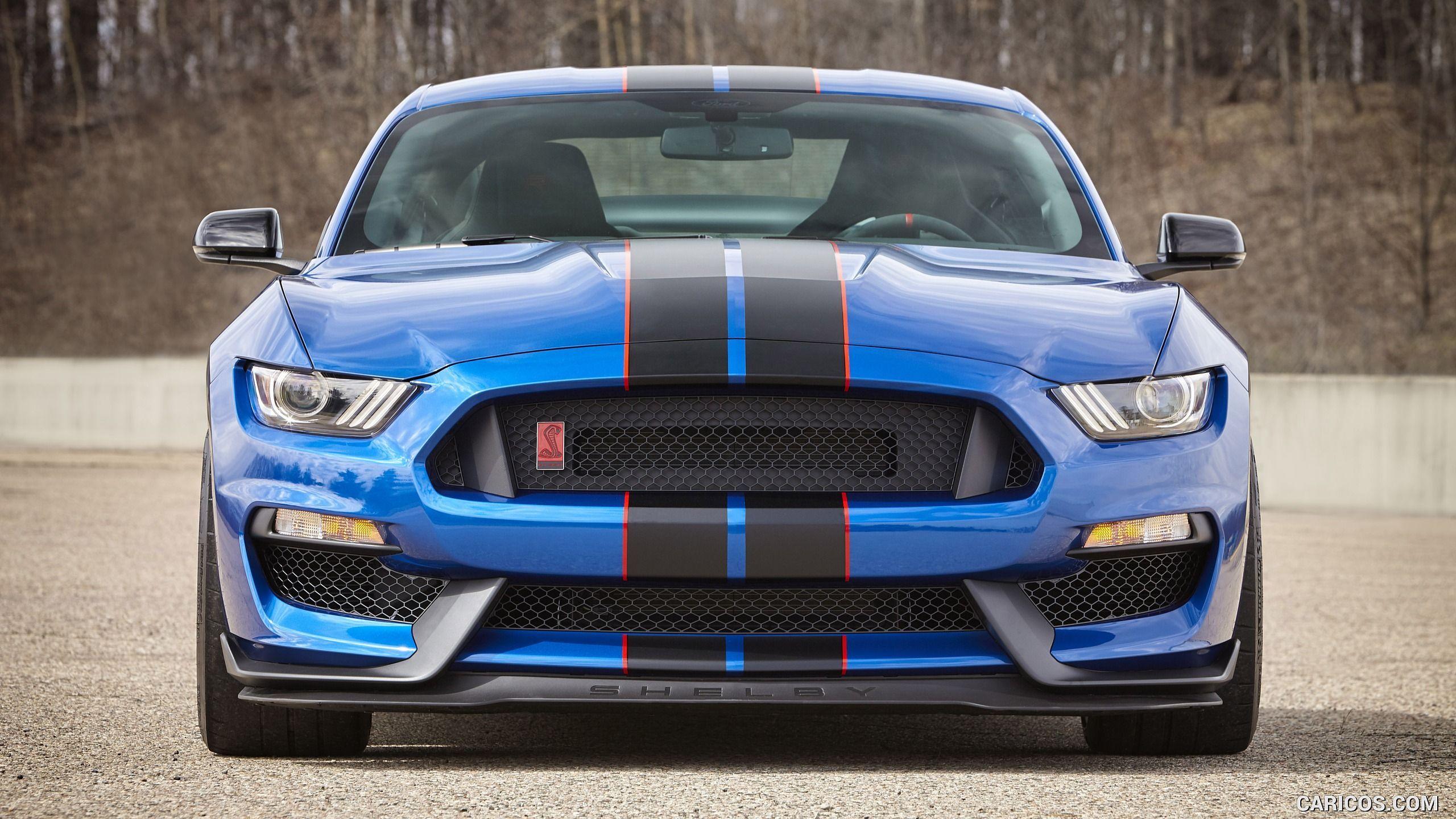2560x1440 Free download 2017 Ford Mustang Shelby GT350 and GT350R Wallpaper Things to [2560x1440] for your Desktop, Mobile & Tablet. Explore Ford Mustang Shelby GT350 Wallpaper. Ford Mustang Shelby GT350
