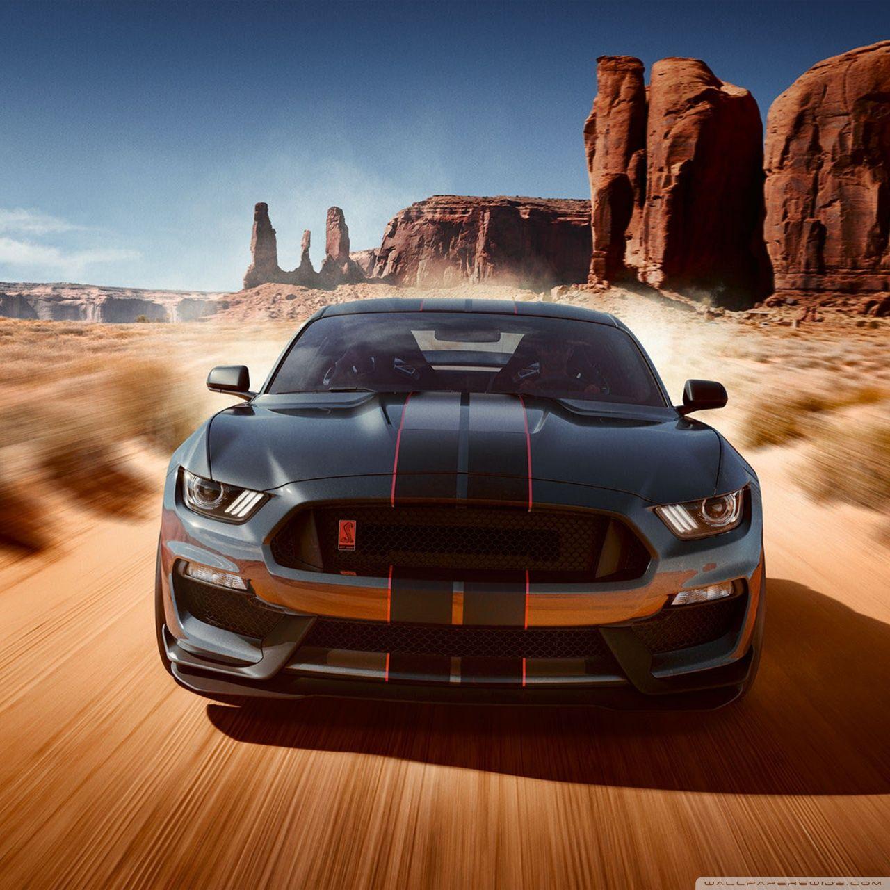1280x1280 Ford Mustang Shelby GT350 Ultra HD Desktop Background Wallpaper for : Widescreen & UltraWide Desktop & Laptop : Multi Display, Dual Monitor : Tablet