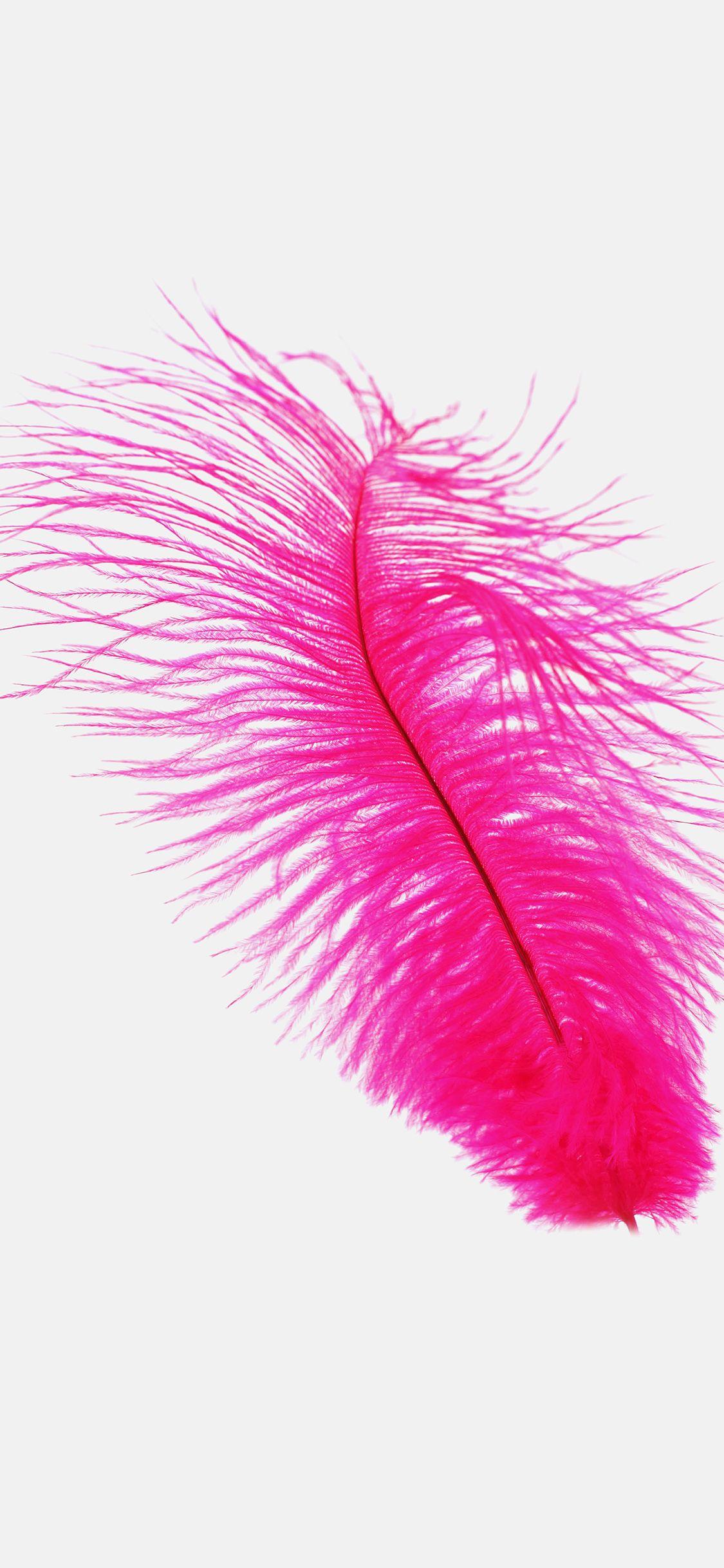 1125x2436 iPhone wallpaper. feather pink white nature minimal