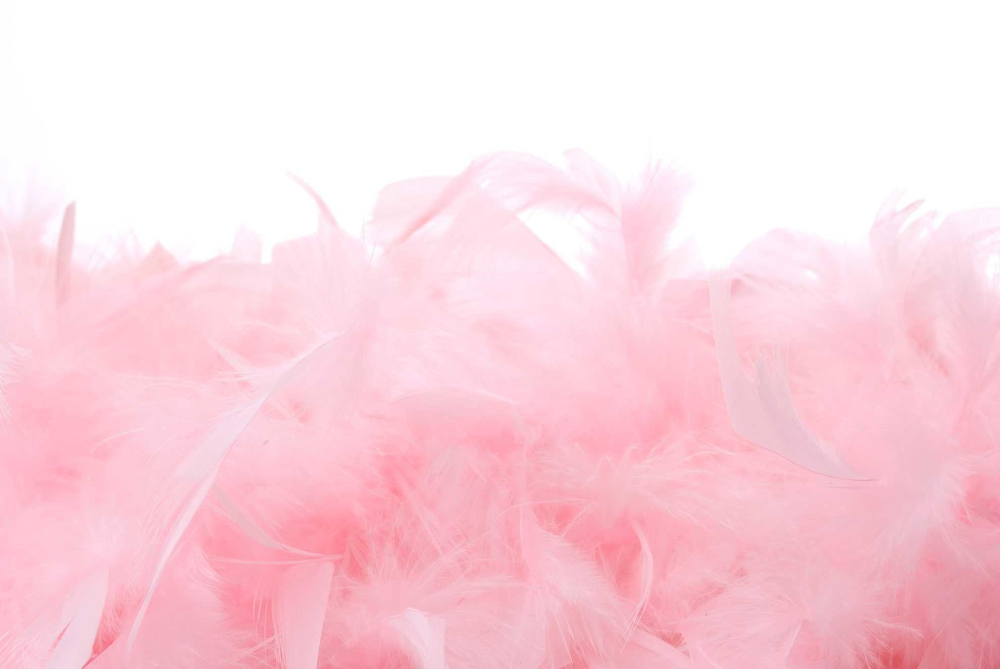 Pink Feathers Wallpapers - Top Free Pink Feathers Backgrounds