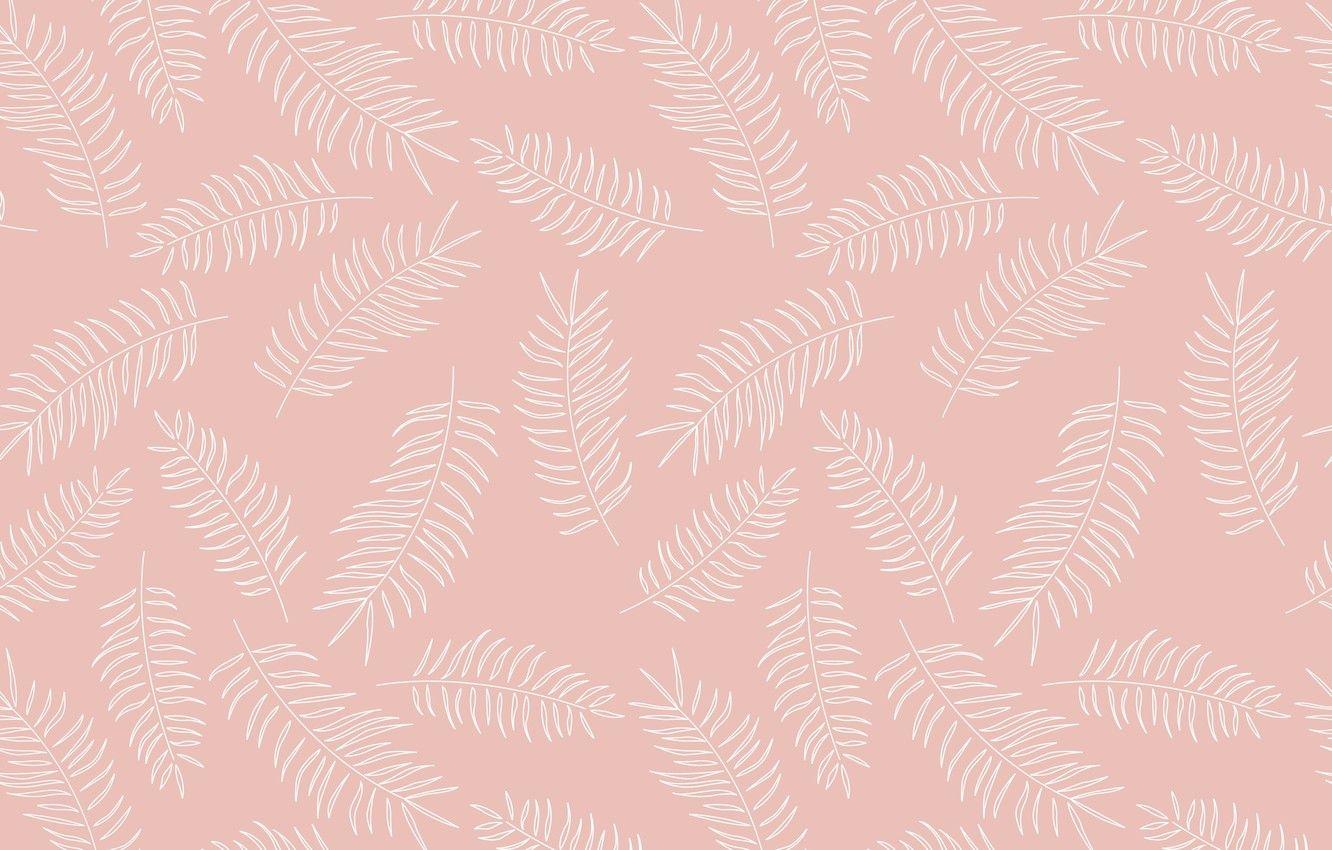 1332x850 Wallpaper pattern, texture, Background, feathers image