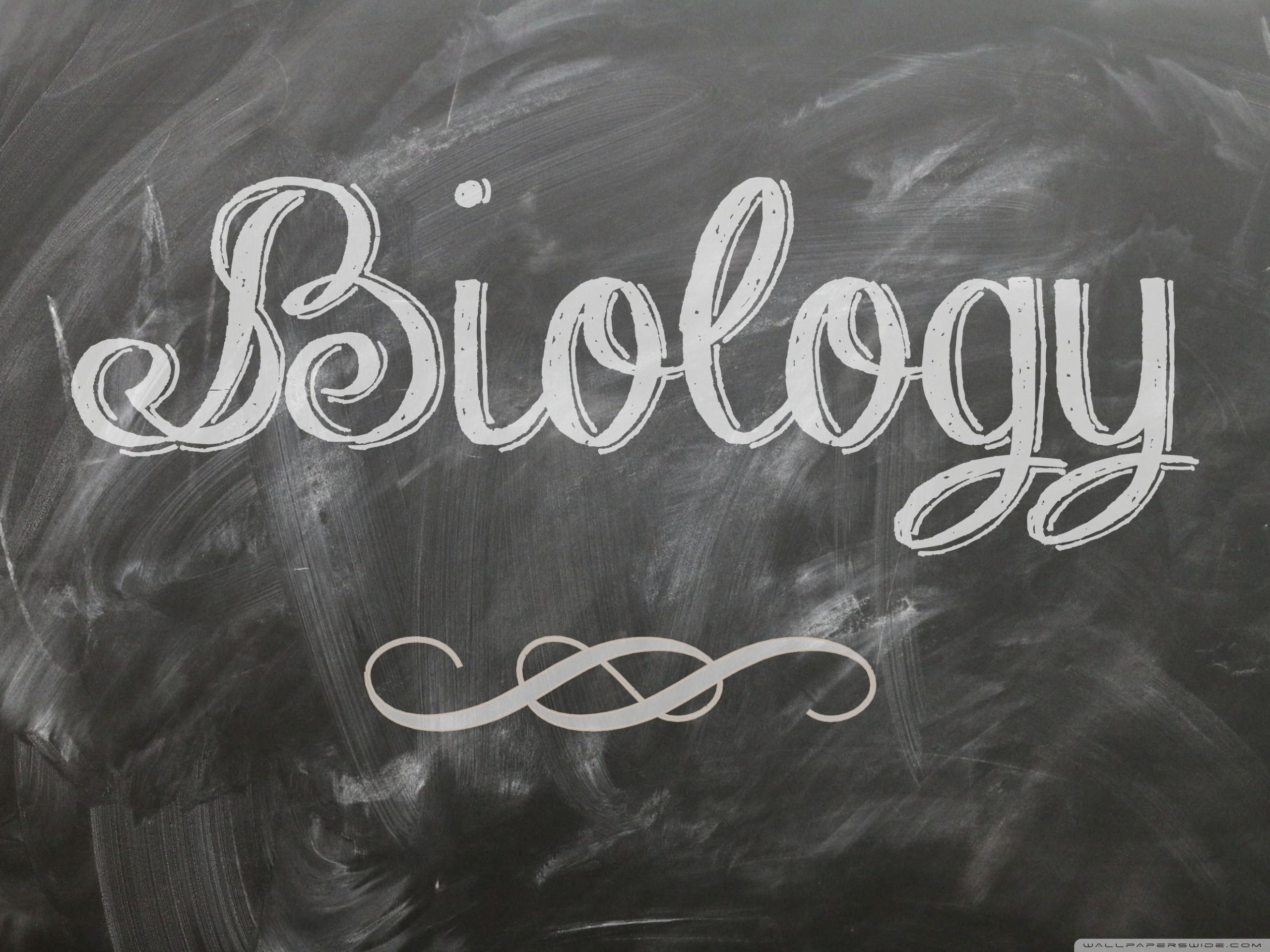 2560x1920 Biology Wallpaper (2880x1800 px, 1181.86 Kb)