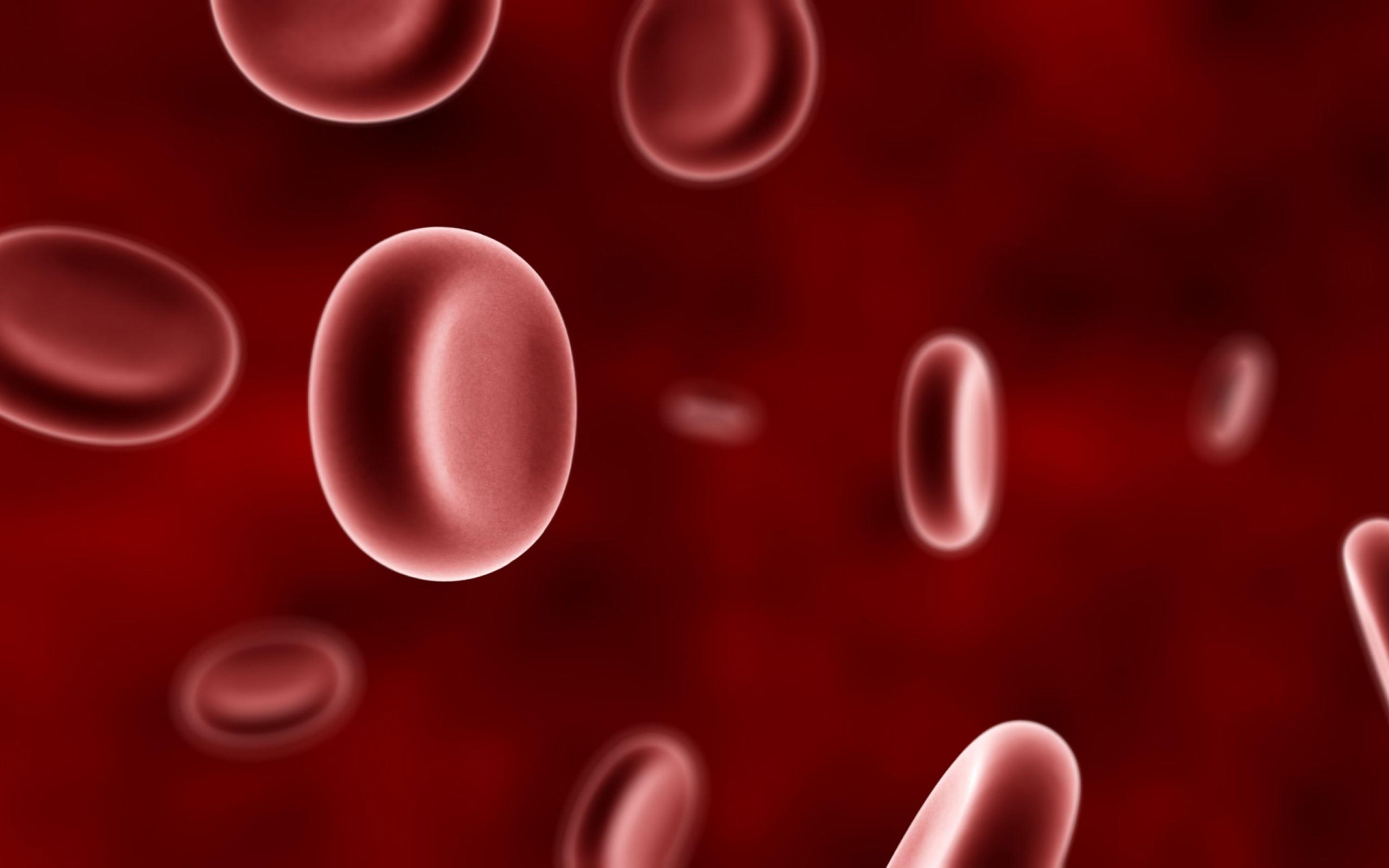 2560x1600 Biology Wallpaper. Biology Wallpaper, Biology Science Wallpaper and Microbiology Wallpaper