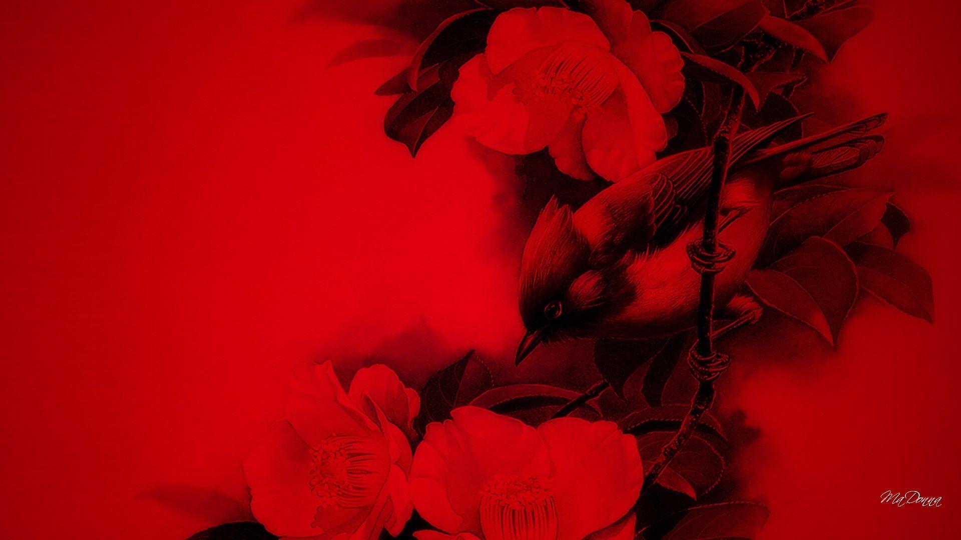 1920x1080 Flower Oriental Bird Floral China Summer Red Spring Flowers Painting