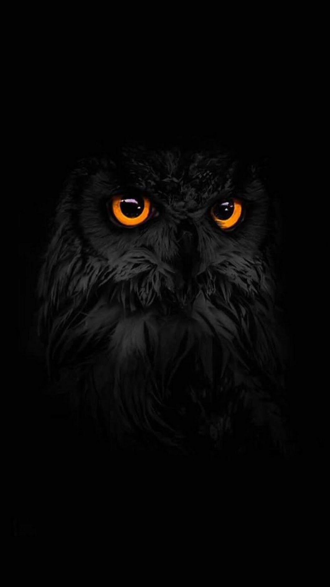 1060x1884 iPhone Wallpaper. Black, Owl, Darkness, Eye, Bird of prey, Bird