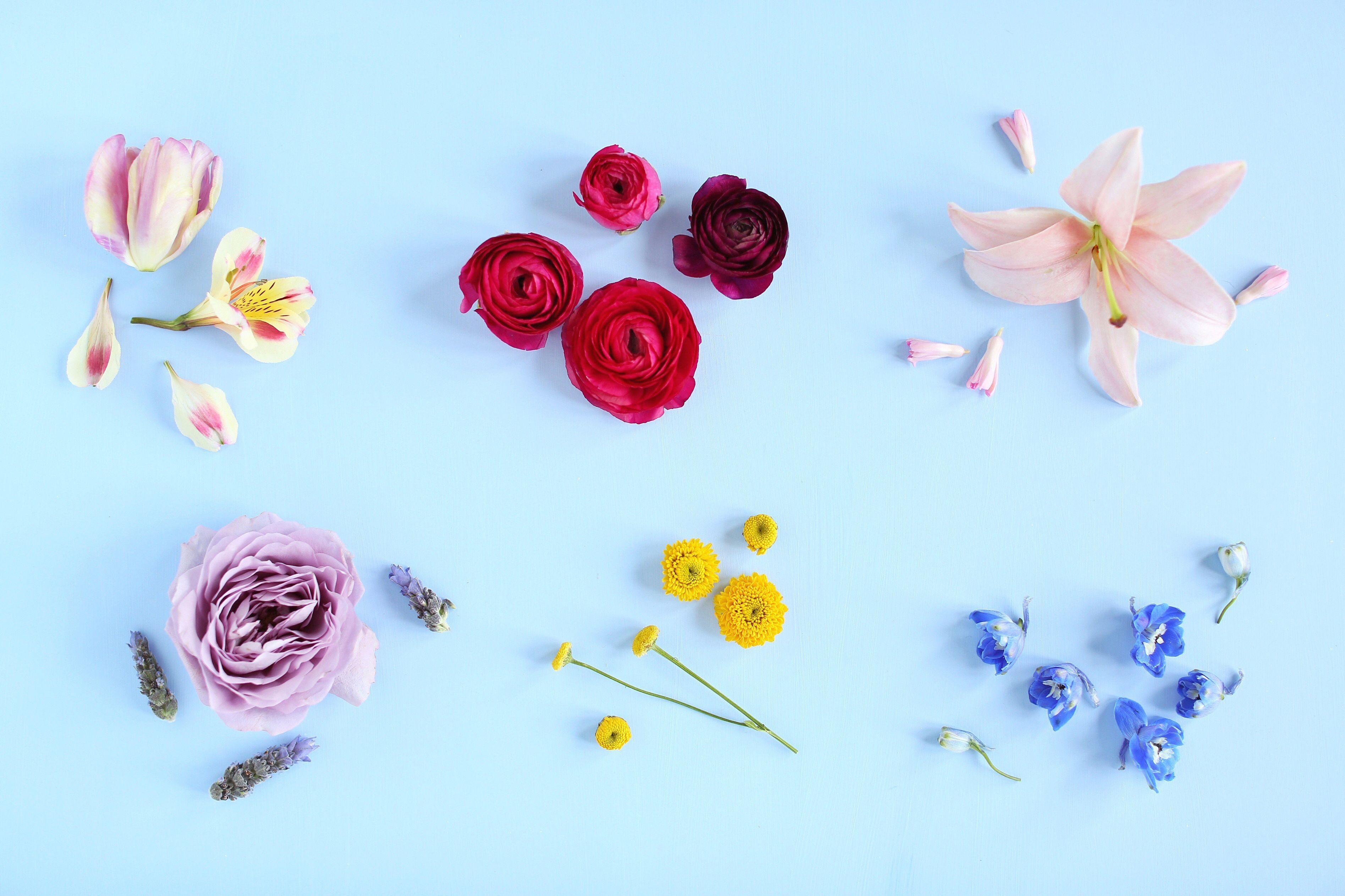 Simple Spring Wallpapers - Top Free Simple Spring Backgrounds ...