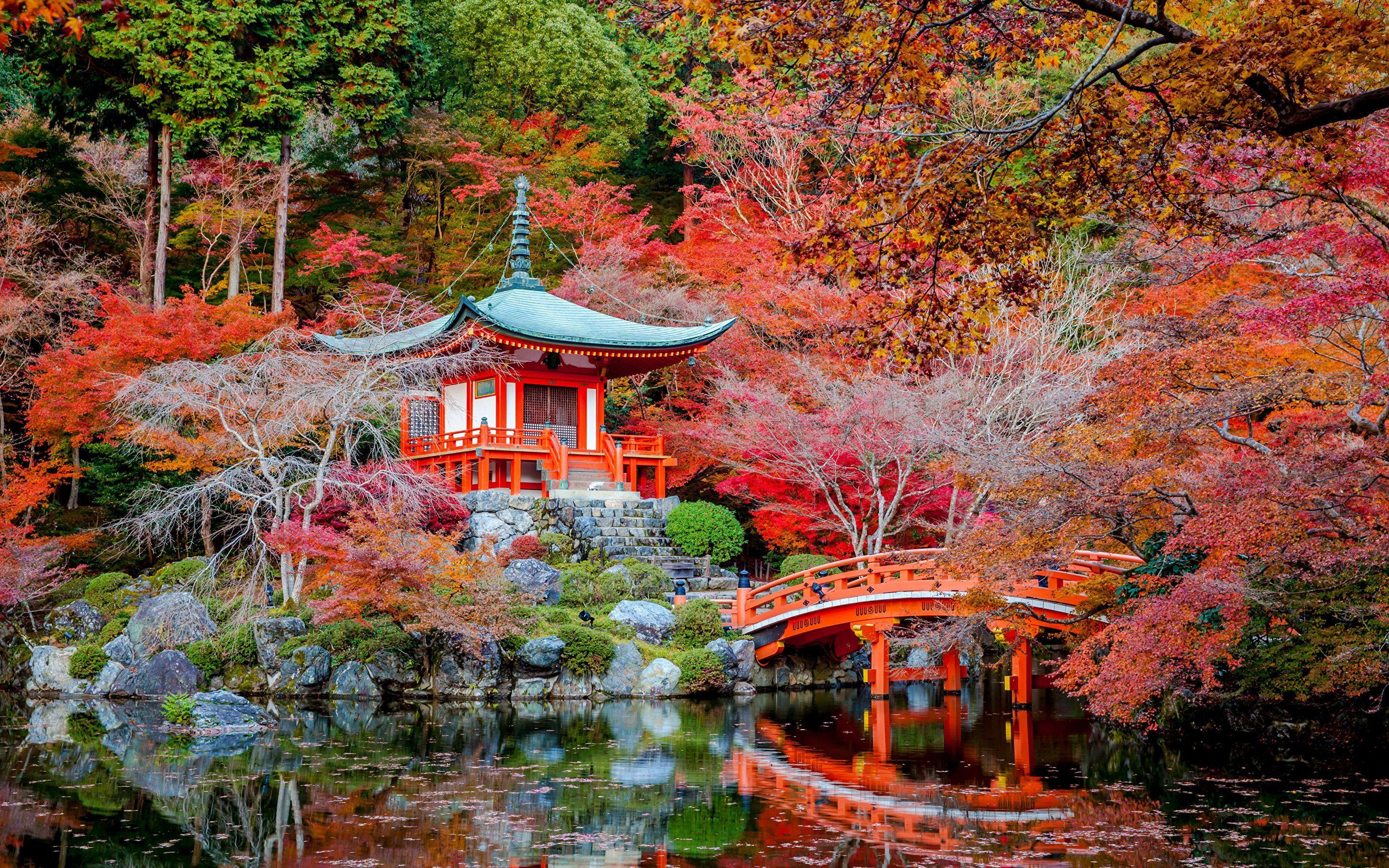 Japanese Autumn Wallpapers Top Free Japanese Autumn Backgrounds 