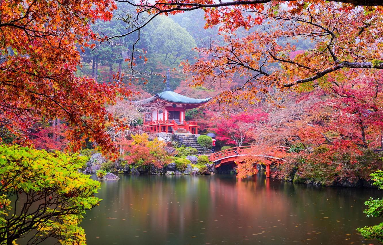1332x850 Autumn Japan Wallpaper