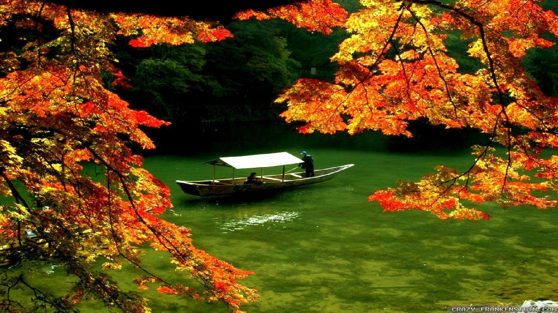 1920x1080 Autumn In Japan wallpaper