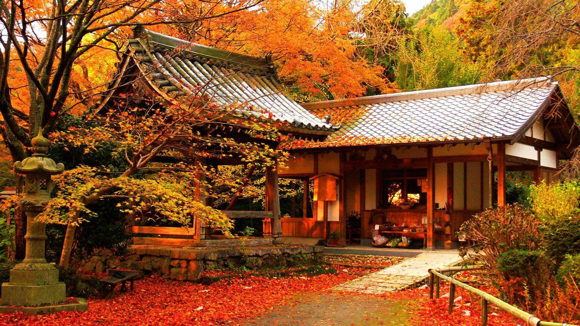 1920x1080 Autumn HD Wallpaper 1080p