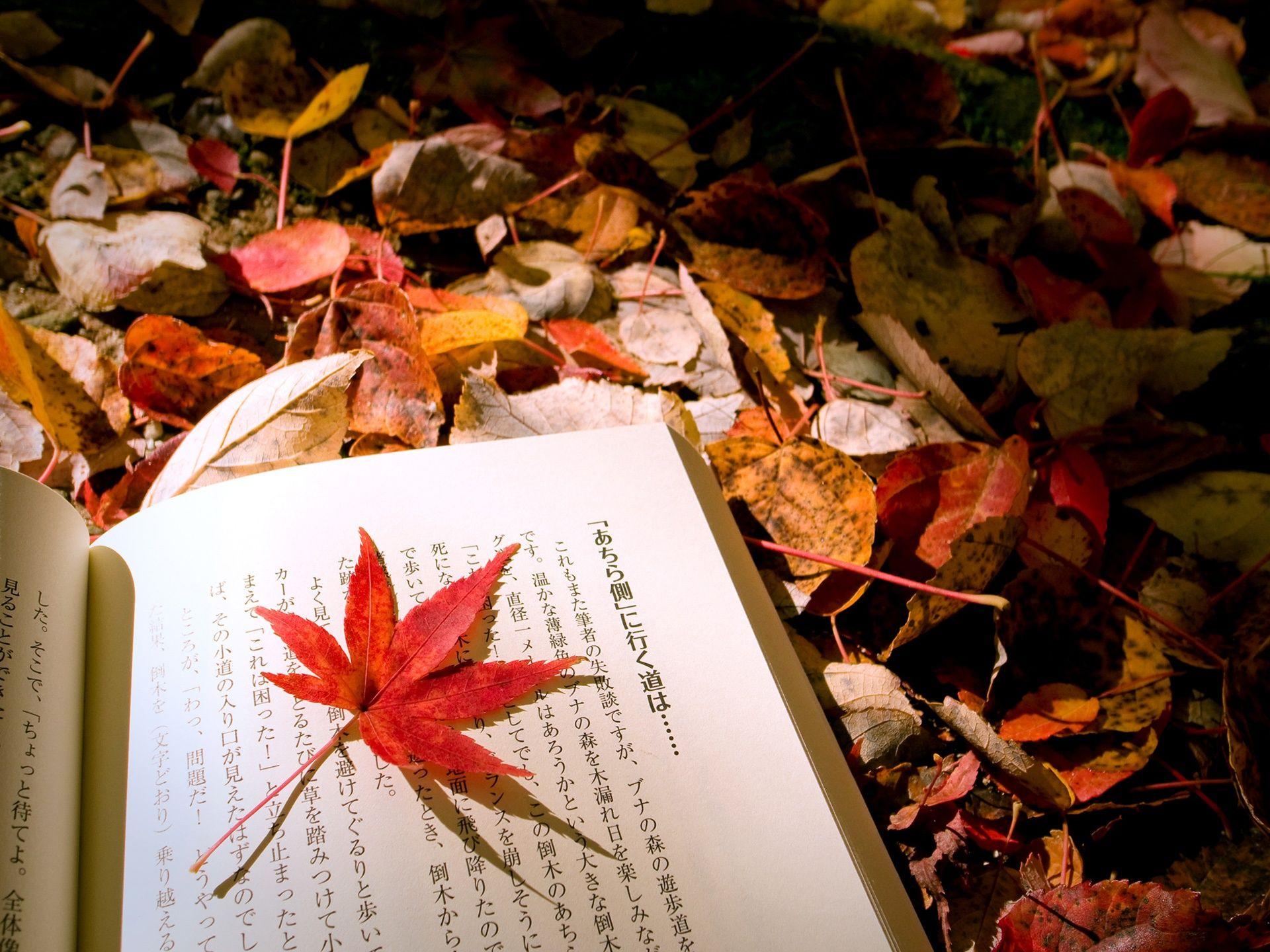 1920x1440 Wallpaper Autumn leaves Japanese book 1920x1440 HD Picture, Image