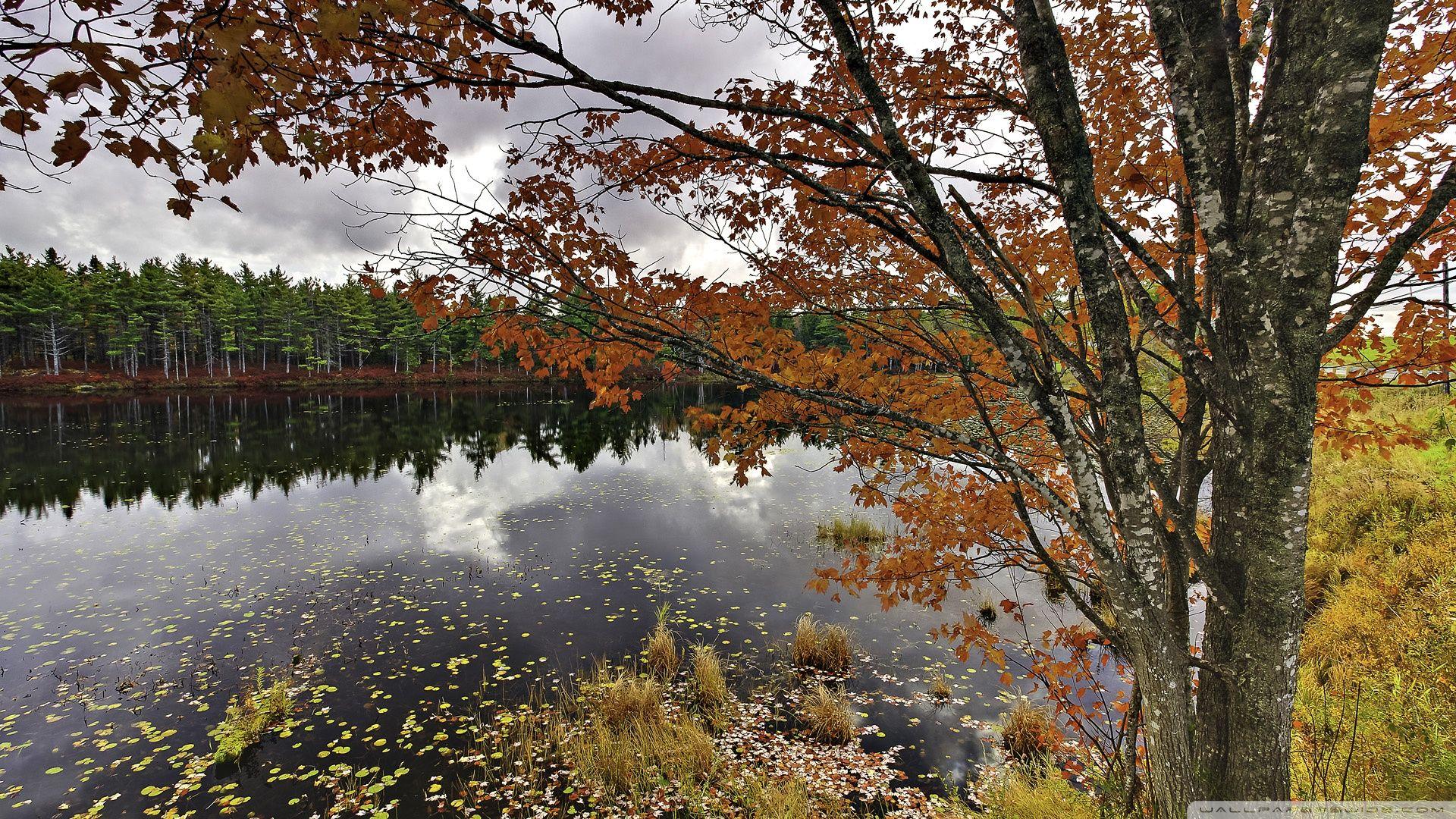 1920x1080 Nova Scotia, Canada, Autumn ❤ 4K HD Desktop Wallpaper for 4K Ultra
