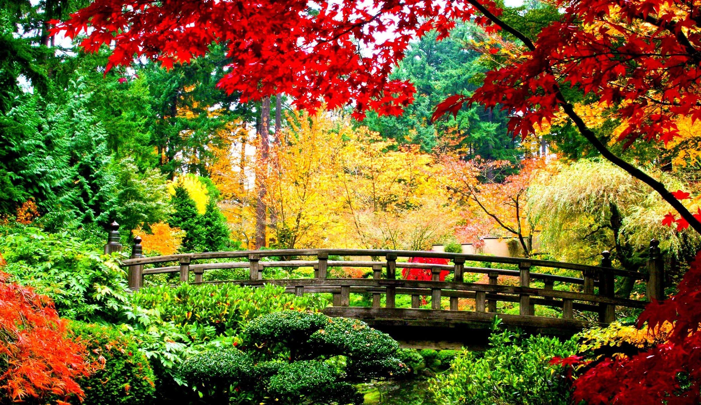 2376x1372 Japan Nature Wallpaper