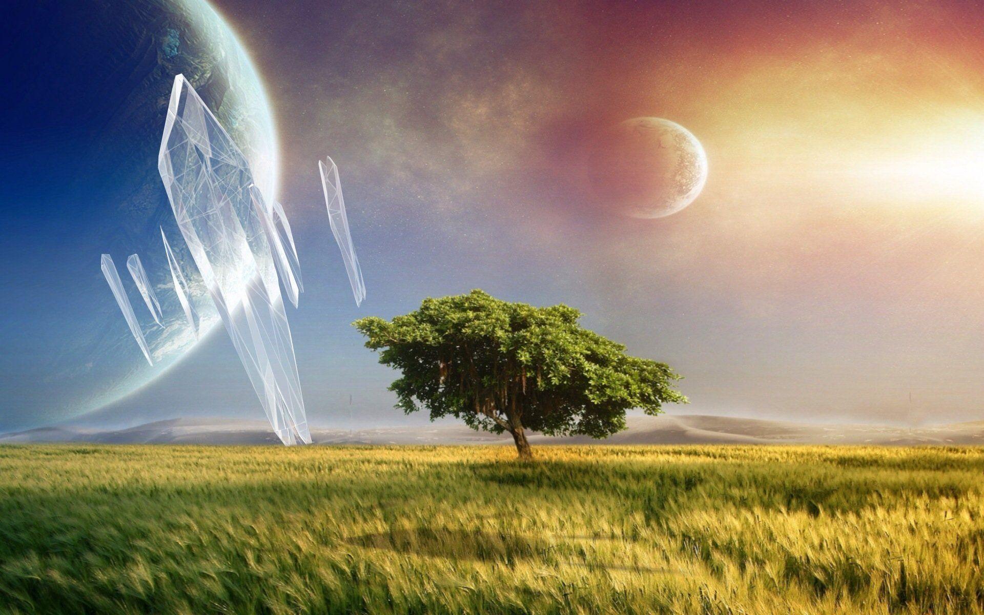 Realism Wallpapers - Top Free Realism Backgrounds - WallpaperAccess