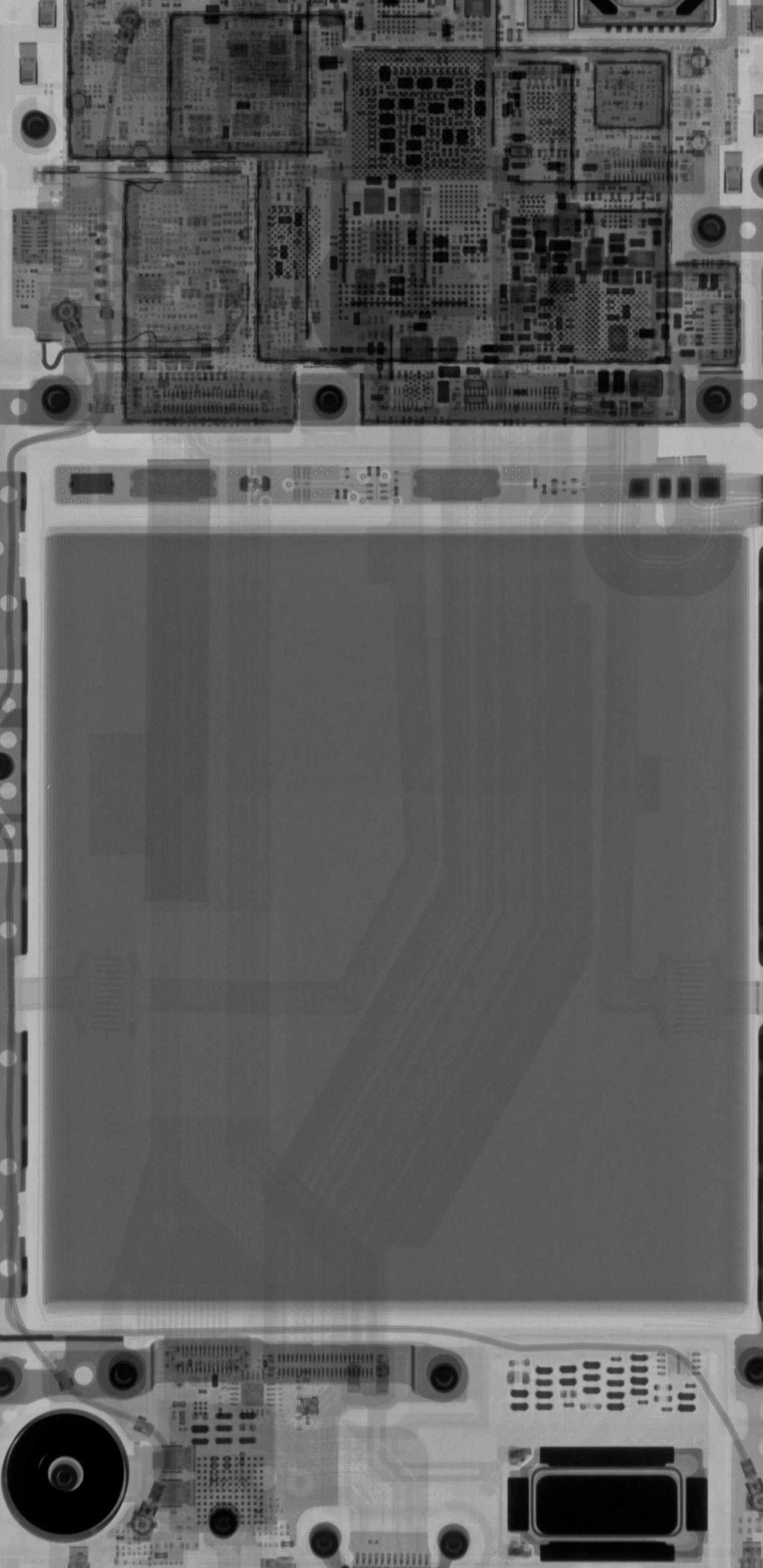 1523x3130 Google Pixel 3a, Pixel XL Get 'see Through' Wallpaper
