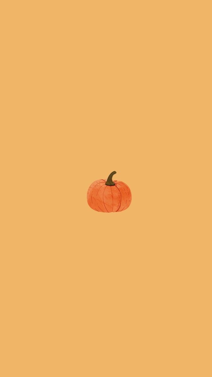 675x1200 Tiny Pumpkin Wallpaper: Clean & Cozy Autumn Vibes