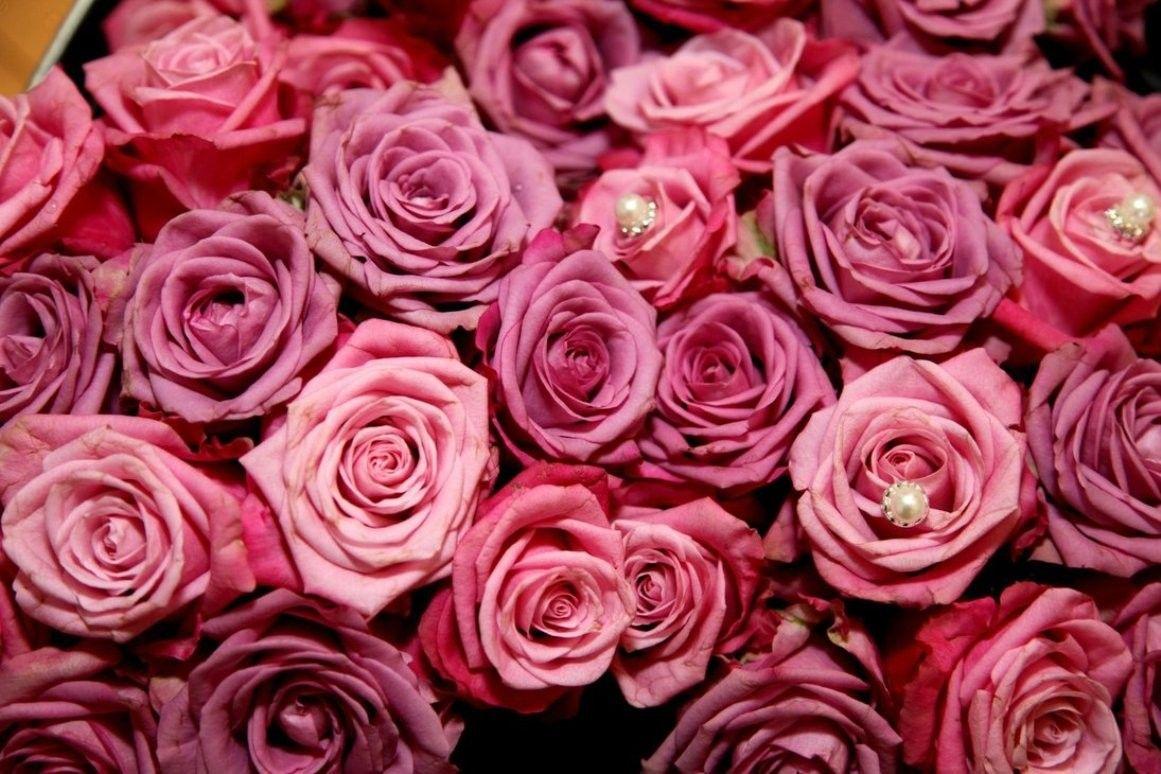 1161x774 Flowers: Roses Flowers Rings Pnik Exotic Flower Desktop Wallpaper