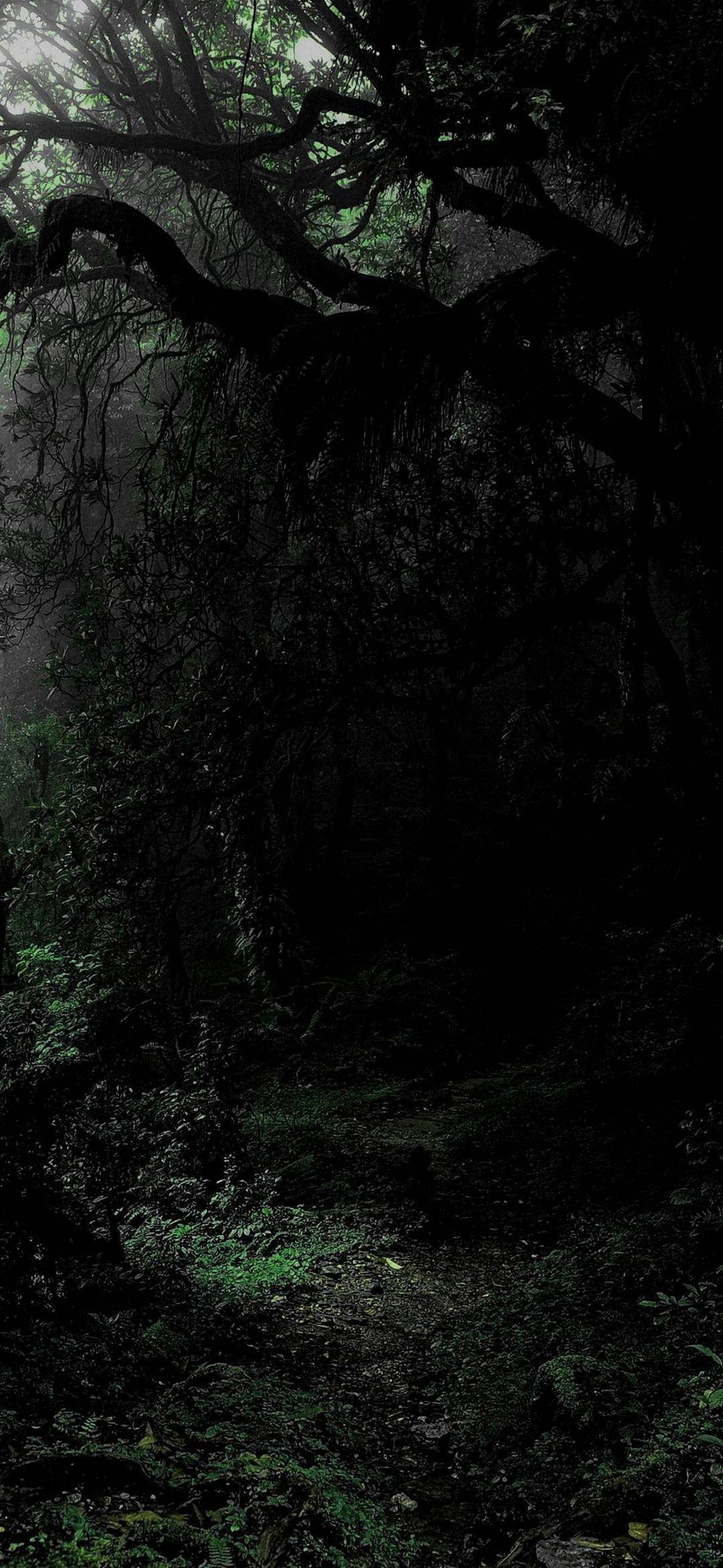 1080x2340 Dark Phone Wallpaper 372 - [1080x2340]