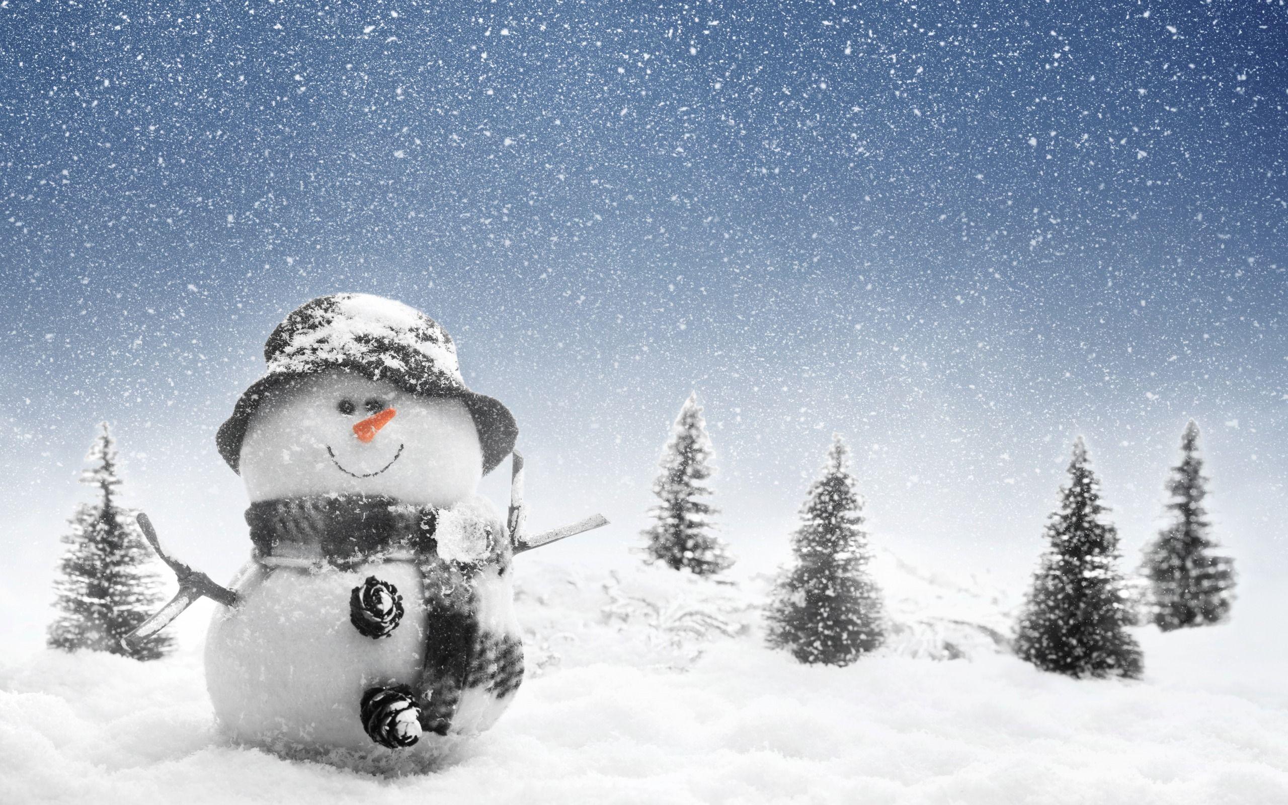 2560x1600 Free download Snowman Wallpaper In Winter photo Christmas Snowman