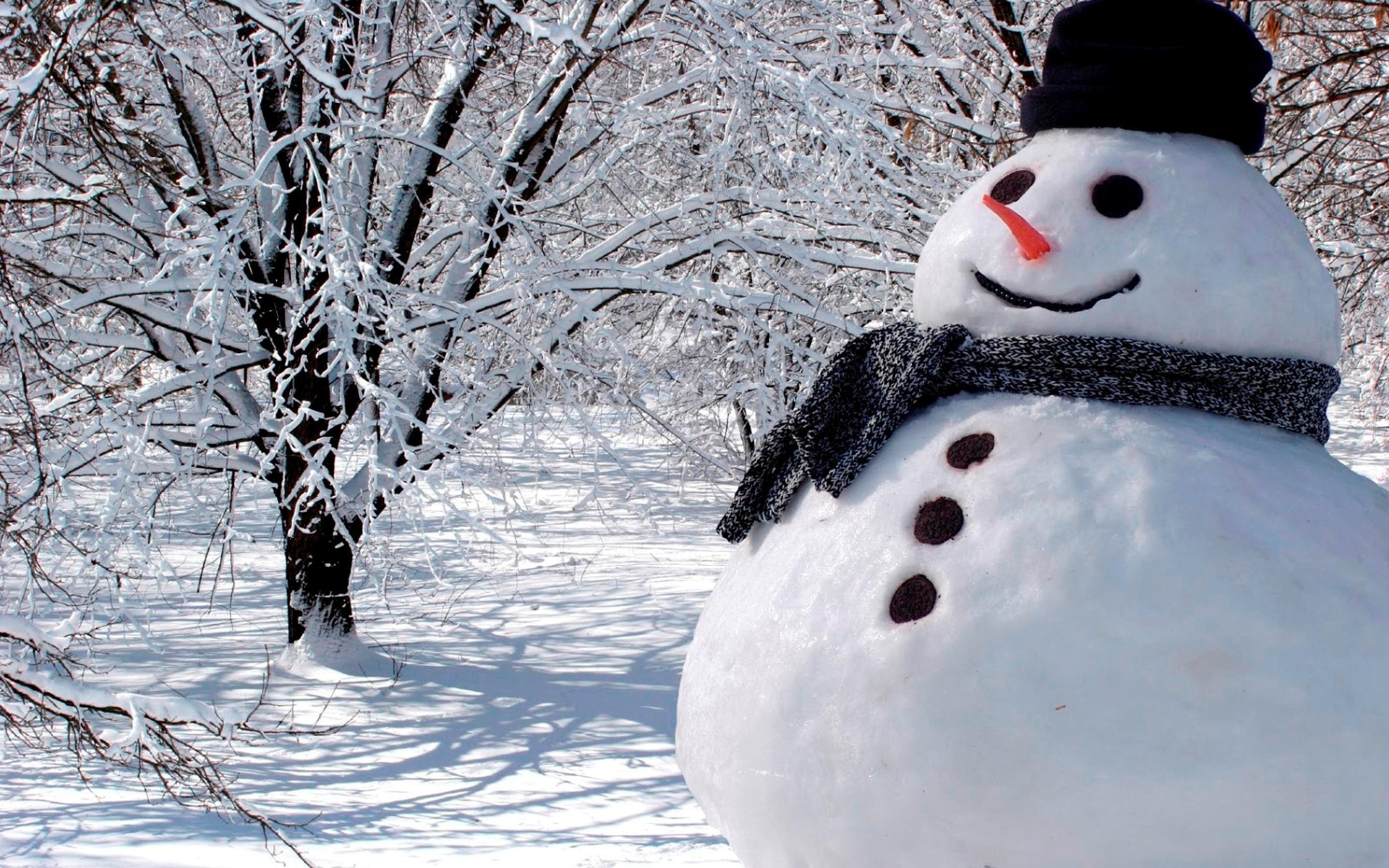 2880x1800 Winter Real Snowmen Wallpaper